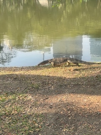 Lumpini Park.. 8 min walk