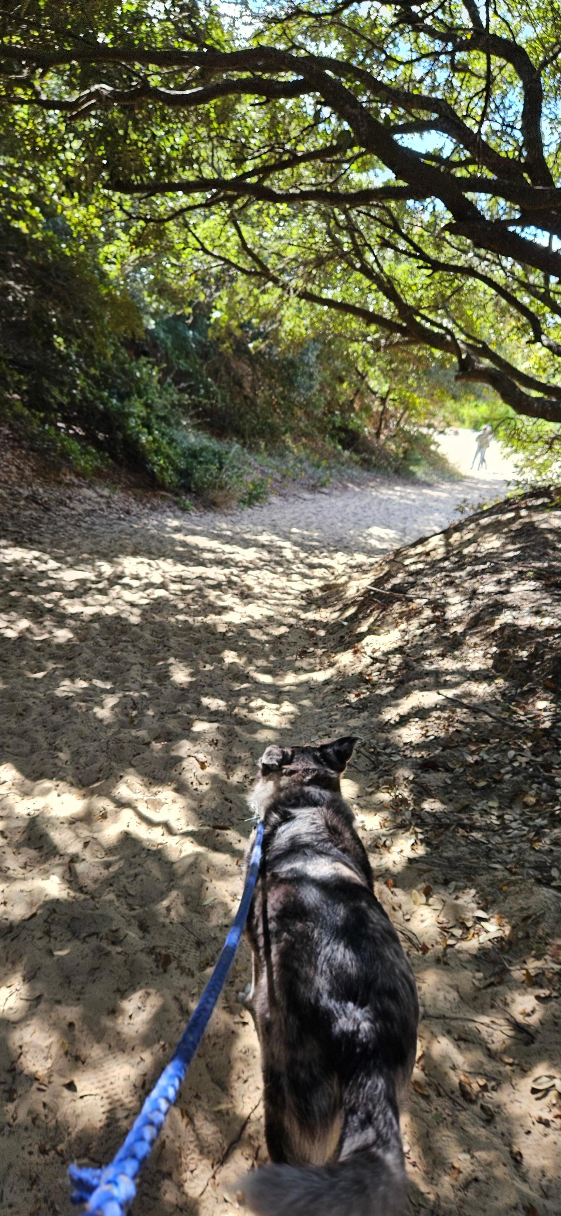 Heading to the sand dunes