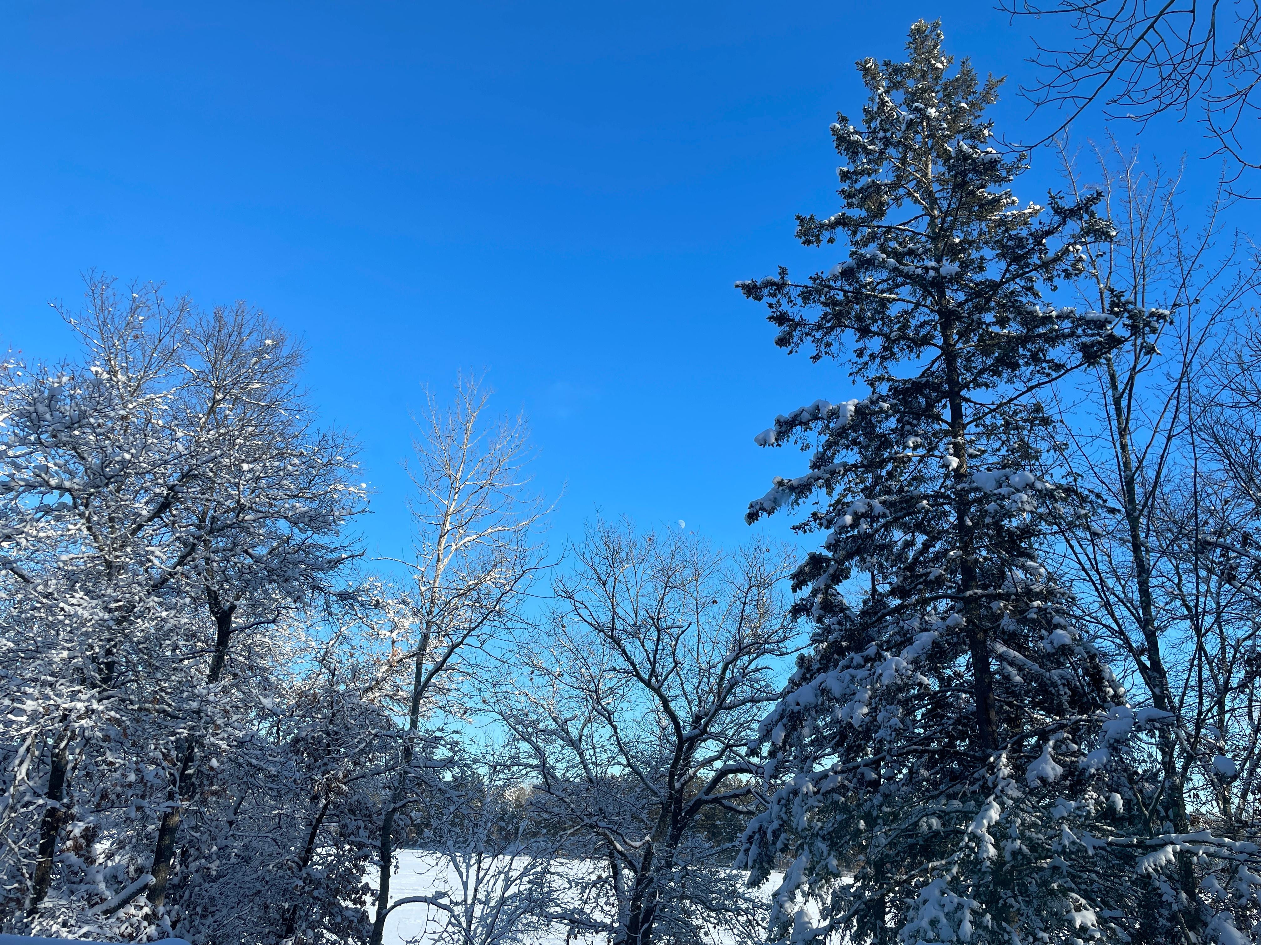 View from the kitchen after the storm cleared out