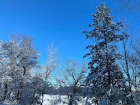 View from the kitchen after the storm cleared out