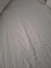 Same dirty sheets reused every day.