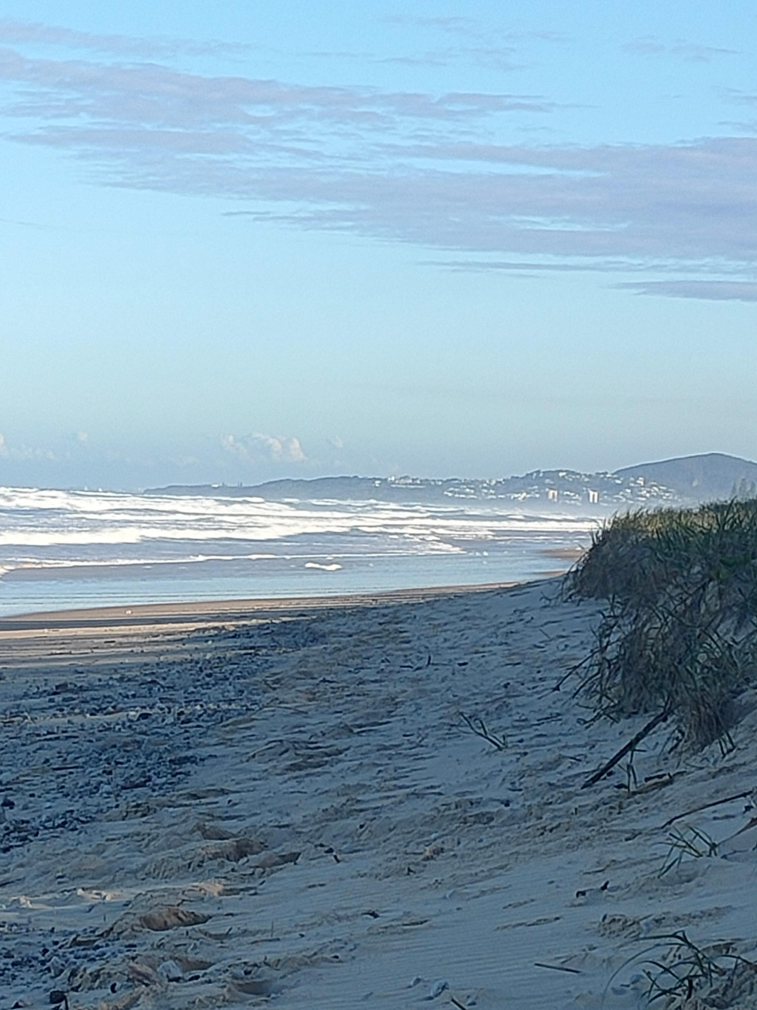 The view south