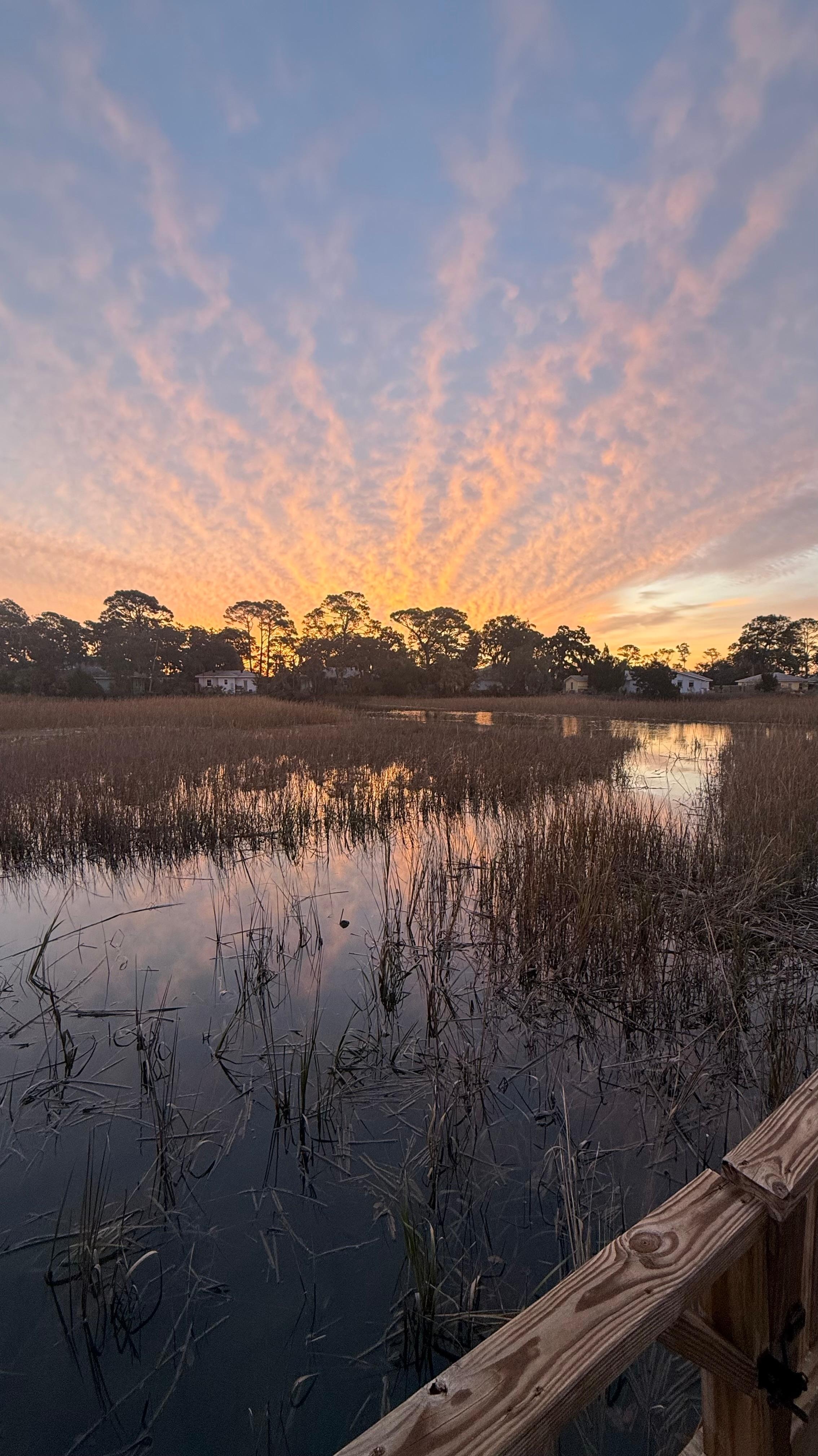 Sunrise over the marsh. 
