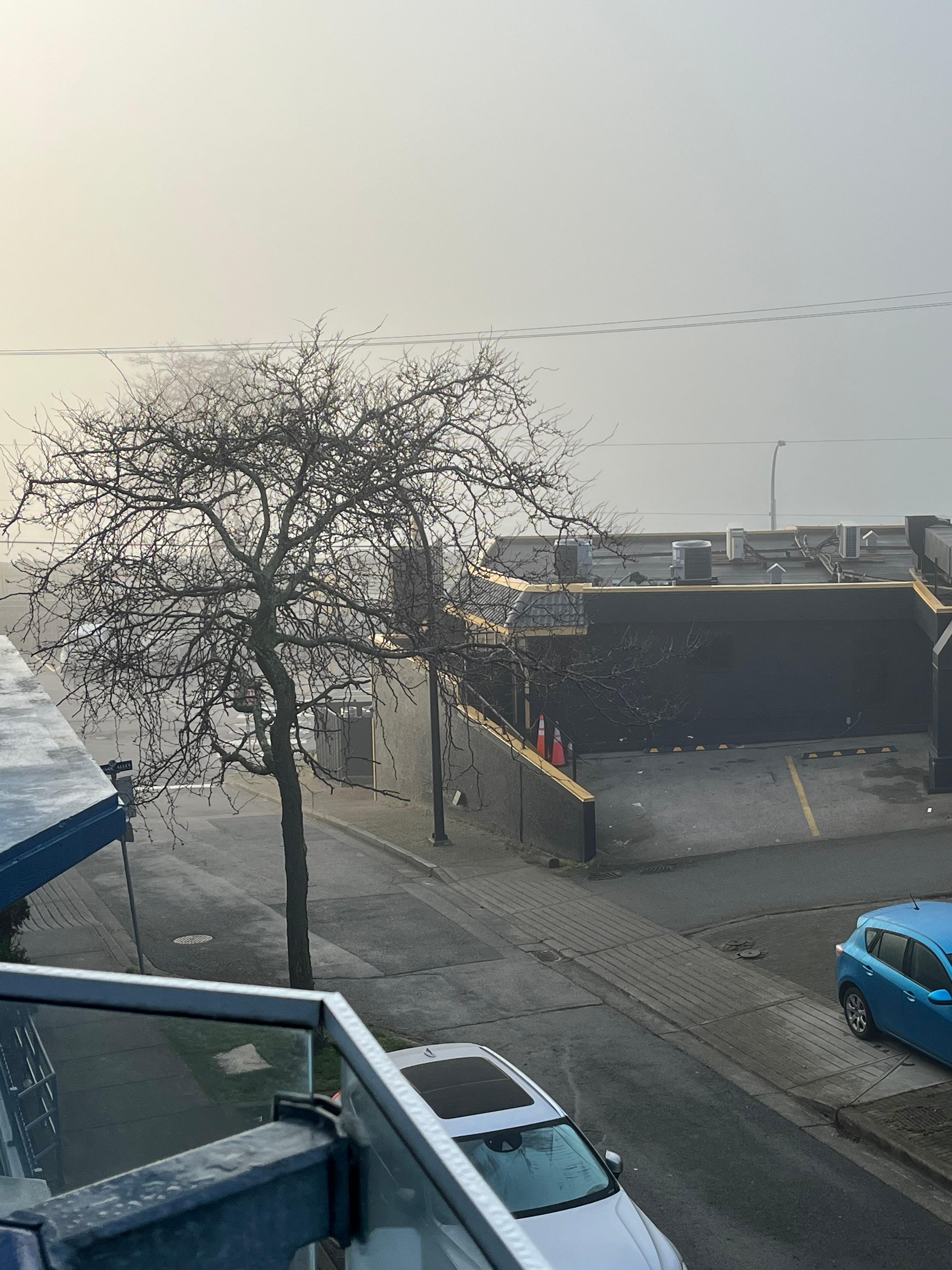 Last morning fog from balcony looking over the bay.