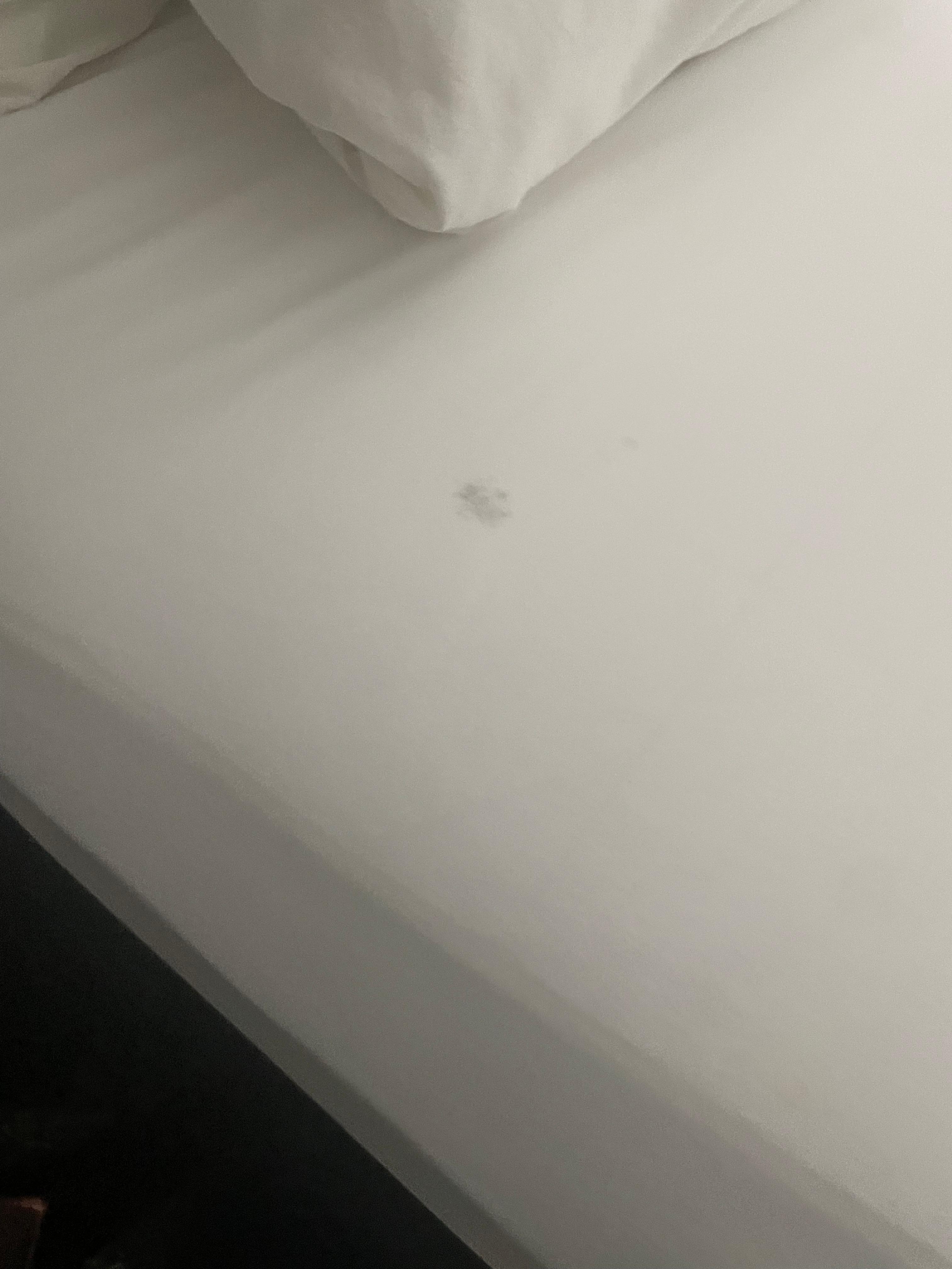 Sheets were dirty and had mold on them  just nasty very nasty and dirty 