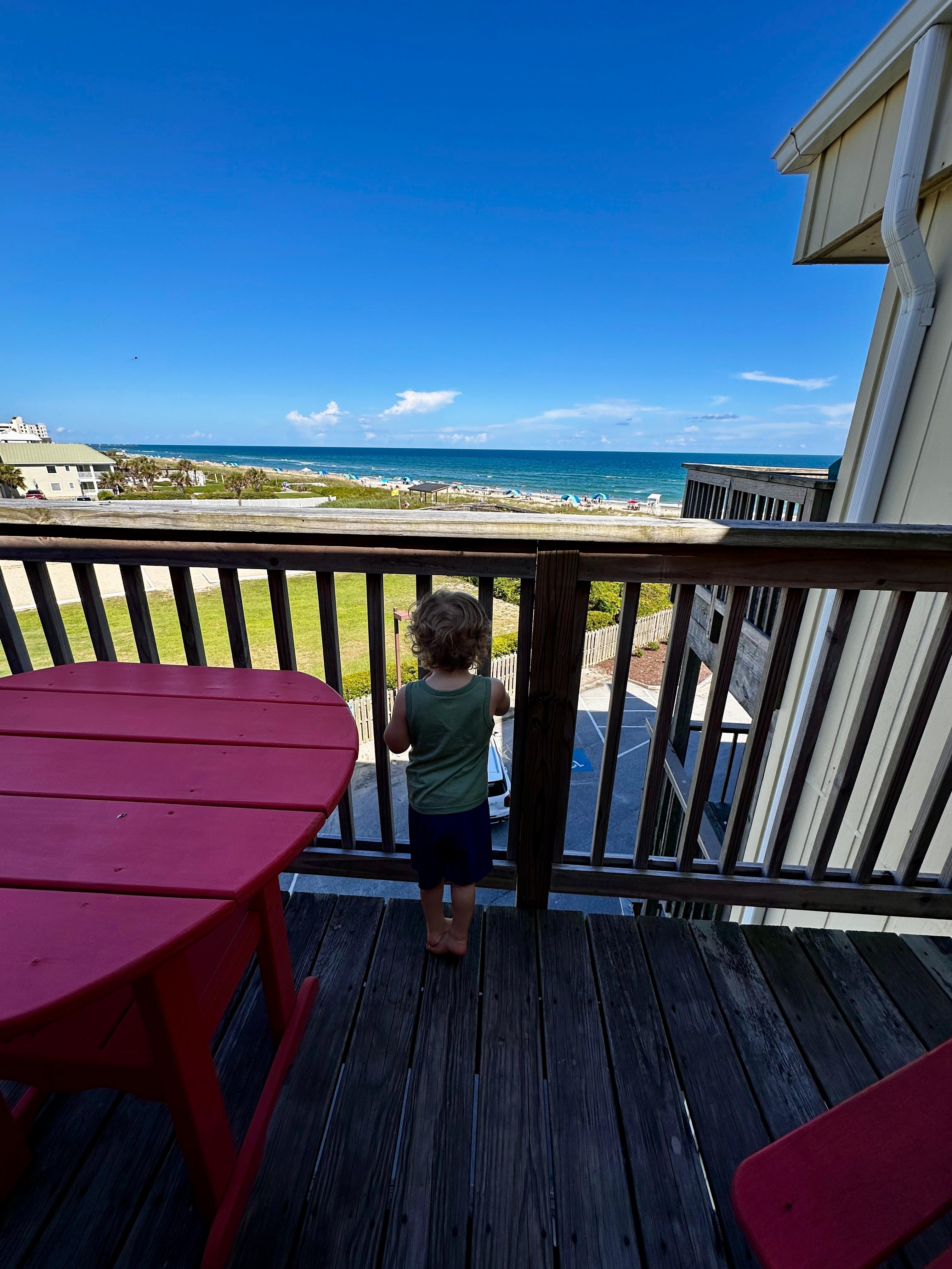 View from the rooms balcony, our son was obsessed. 