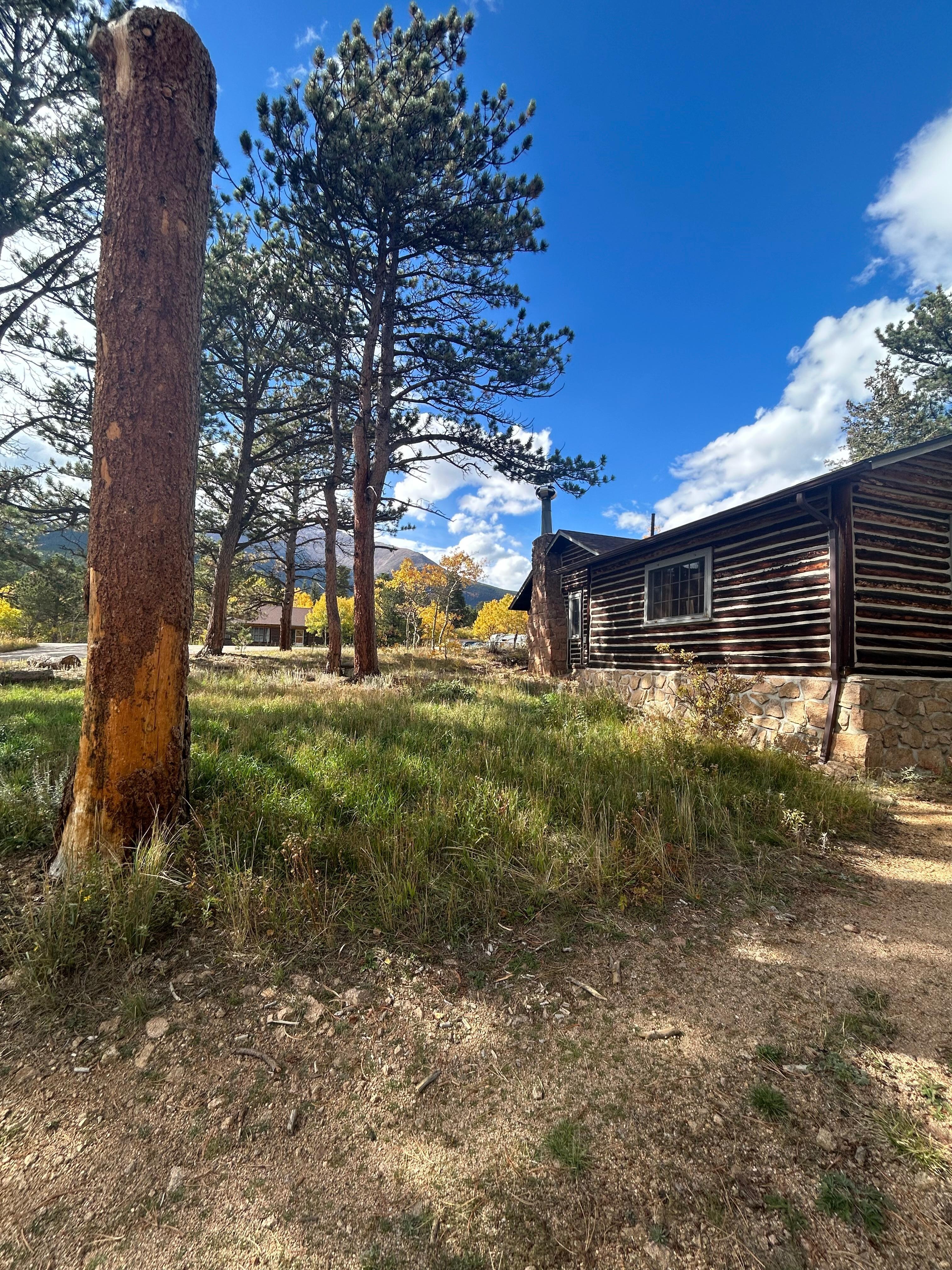View going up driveway