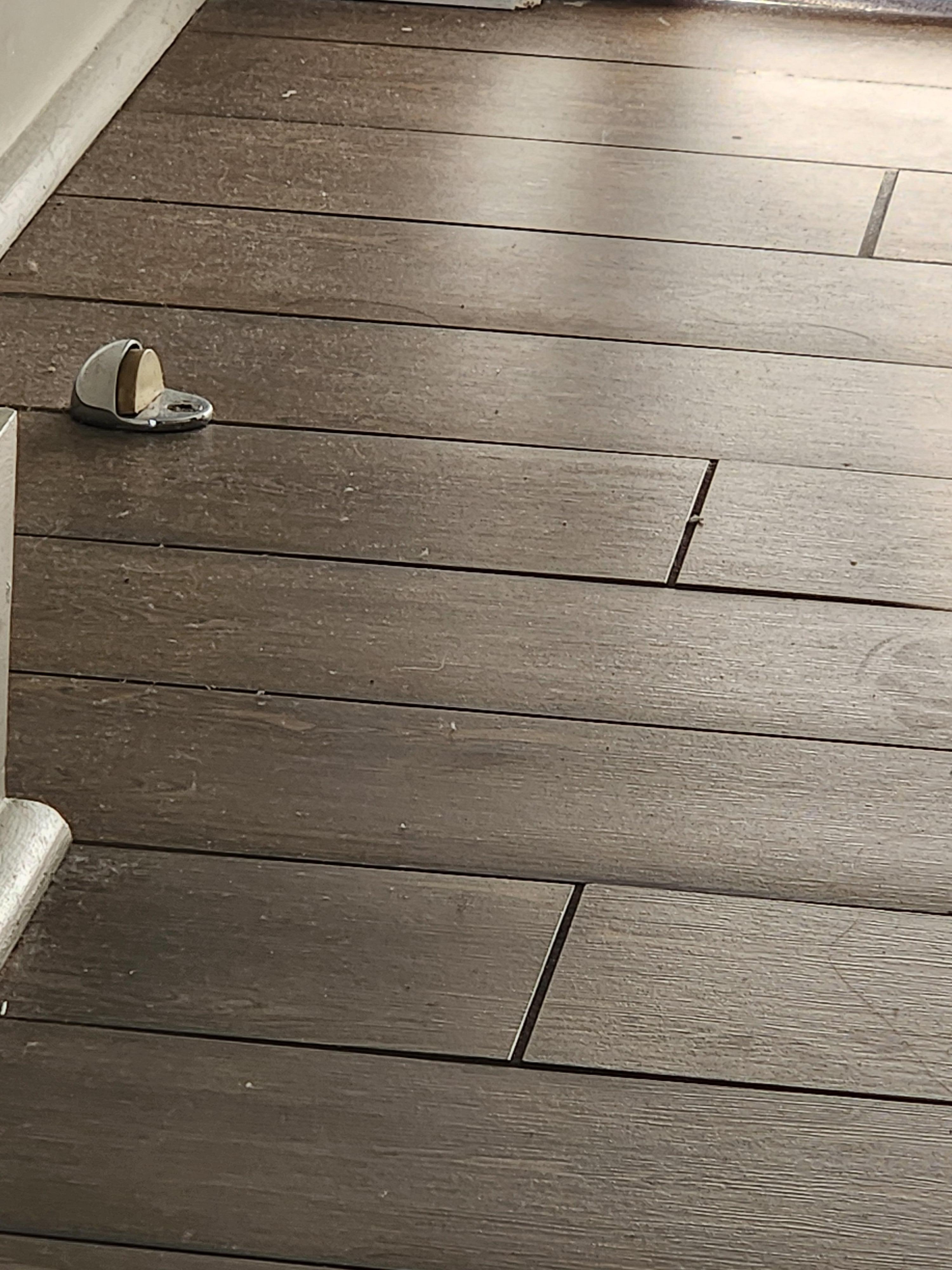 Hair and dust on the floor