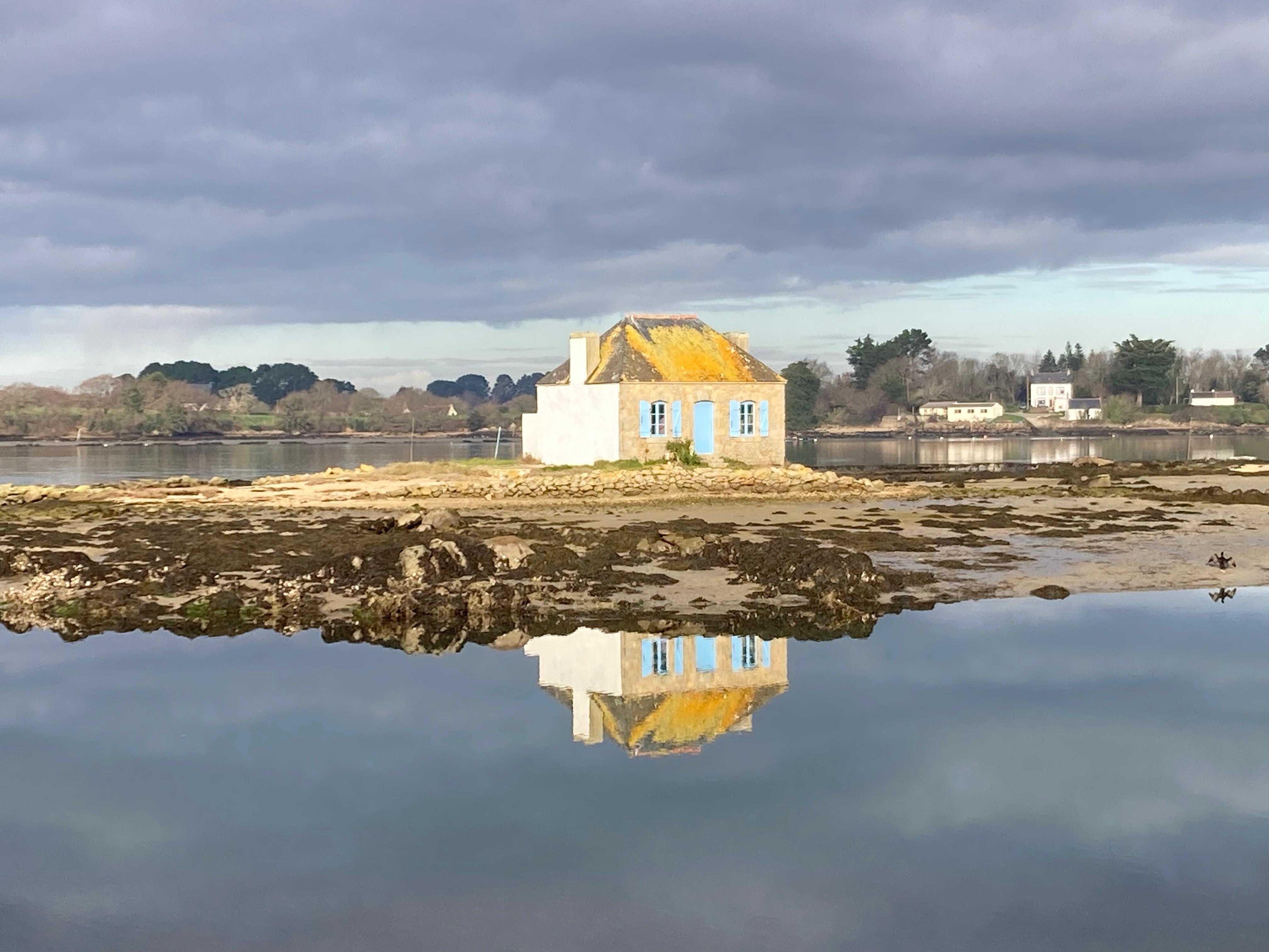 View from harbor, 100m from house