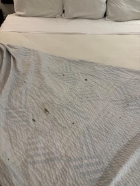 Cigarette burn holes