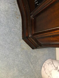 More pet stains