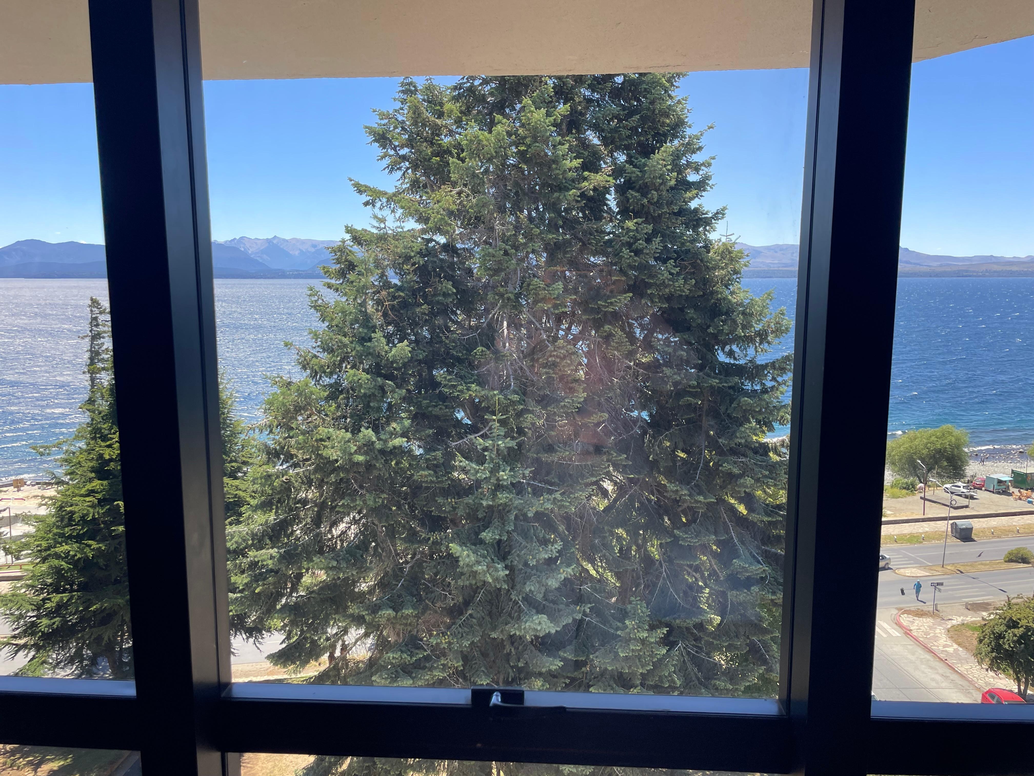 Lake view room obscured by huge trees