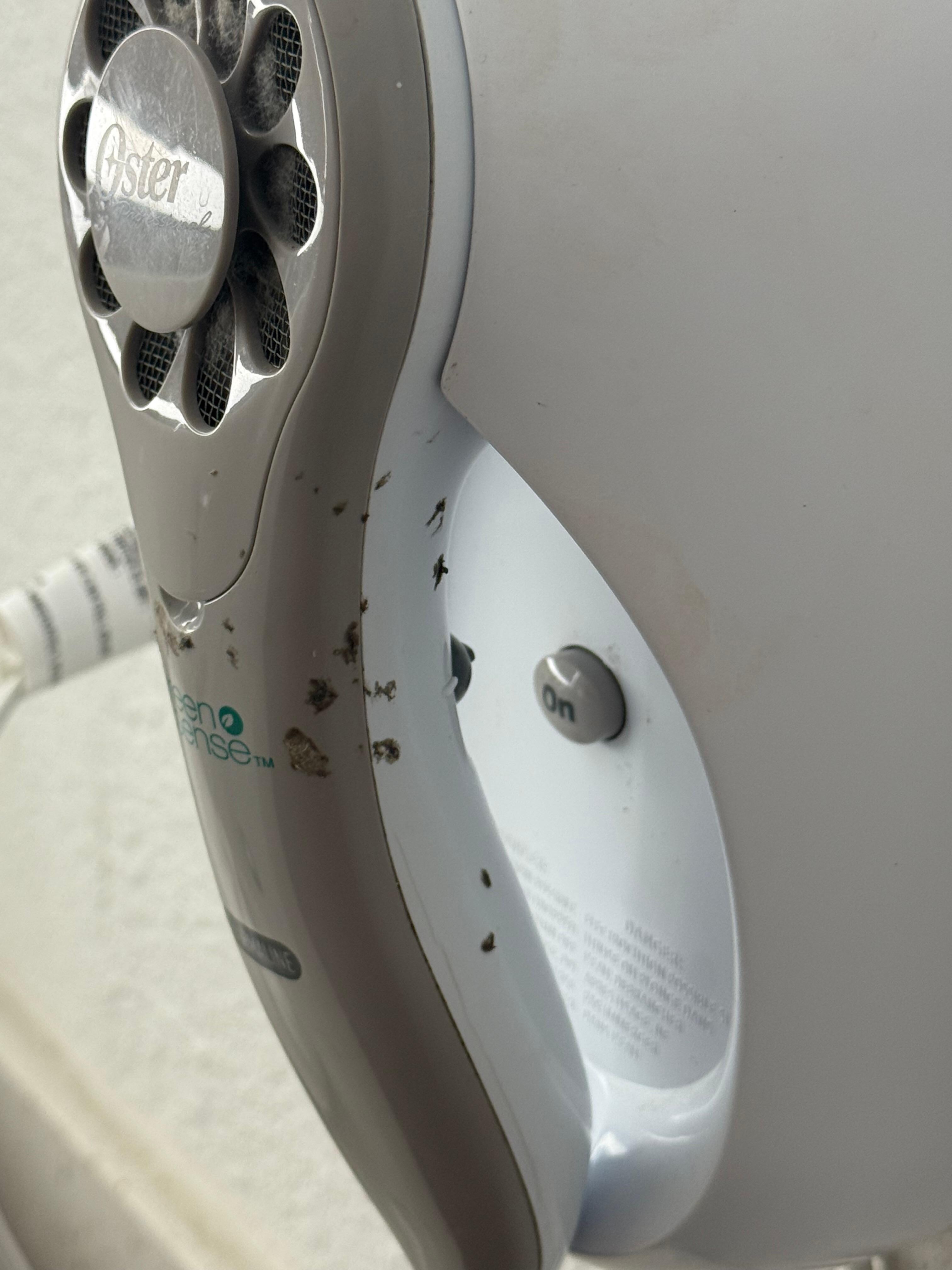 Mold