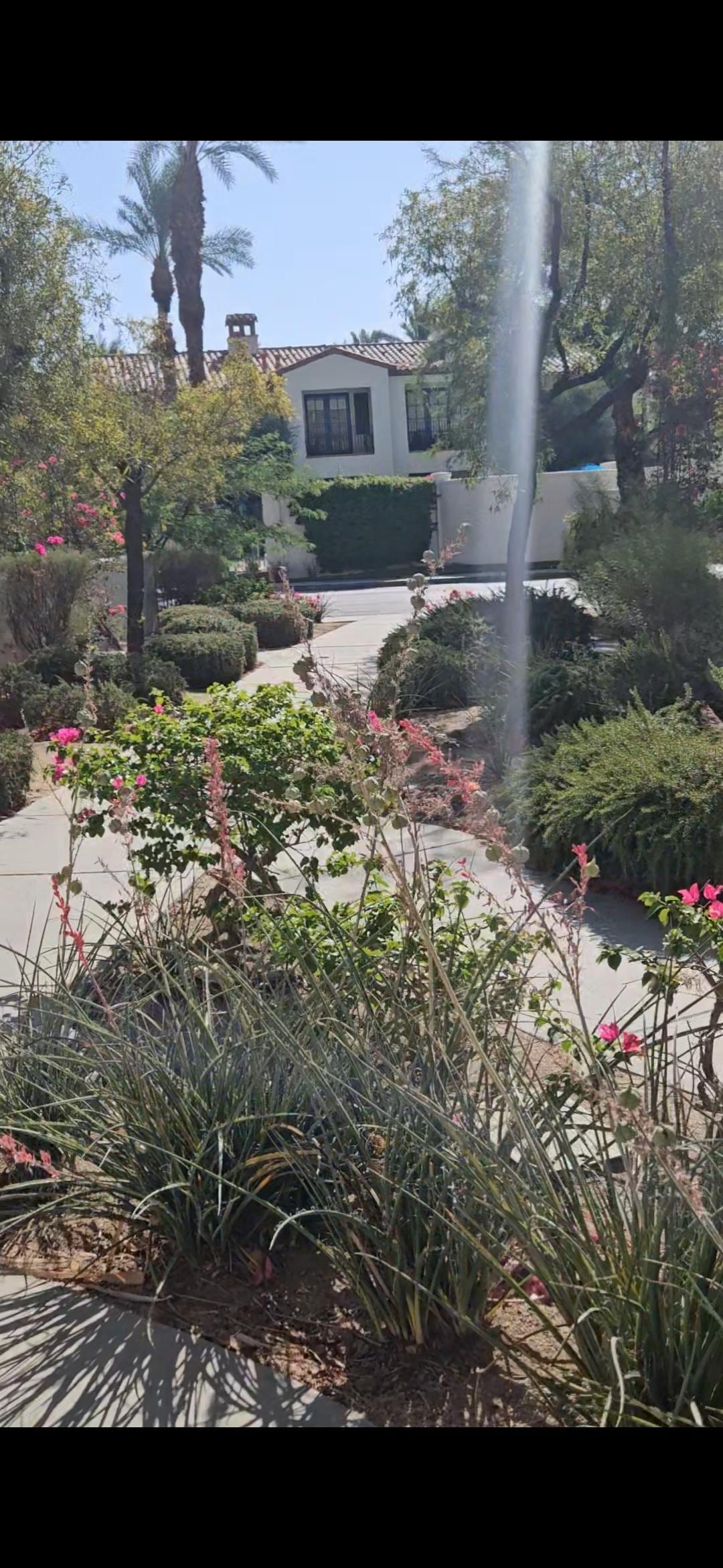 Pretty well kept landscaping 