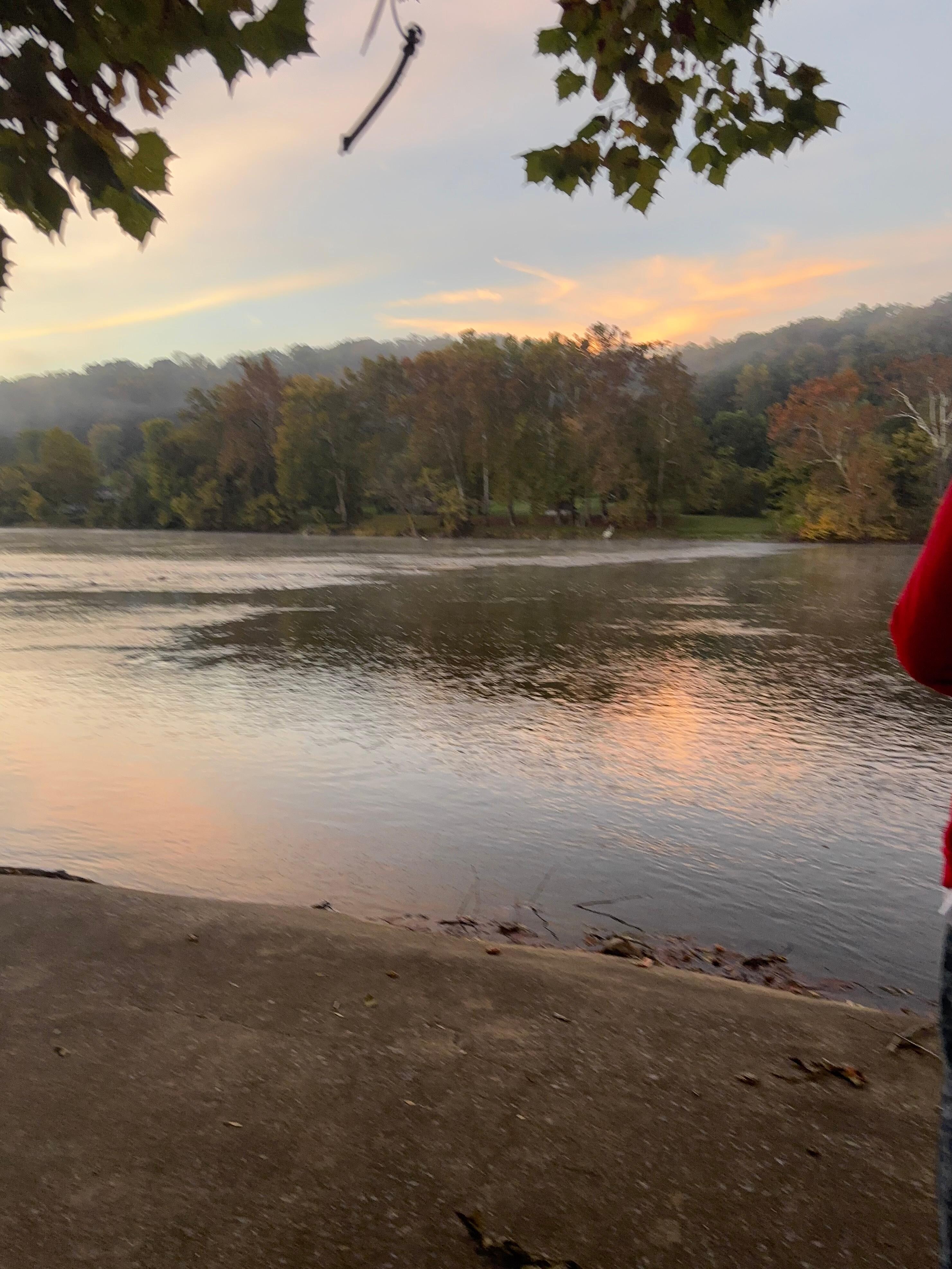 Early morning sunrise from the yard. It was cloudy so not as great as it would’ve been I’m sure.