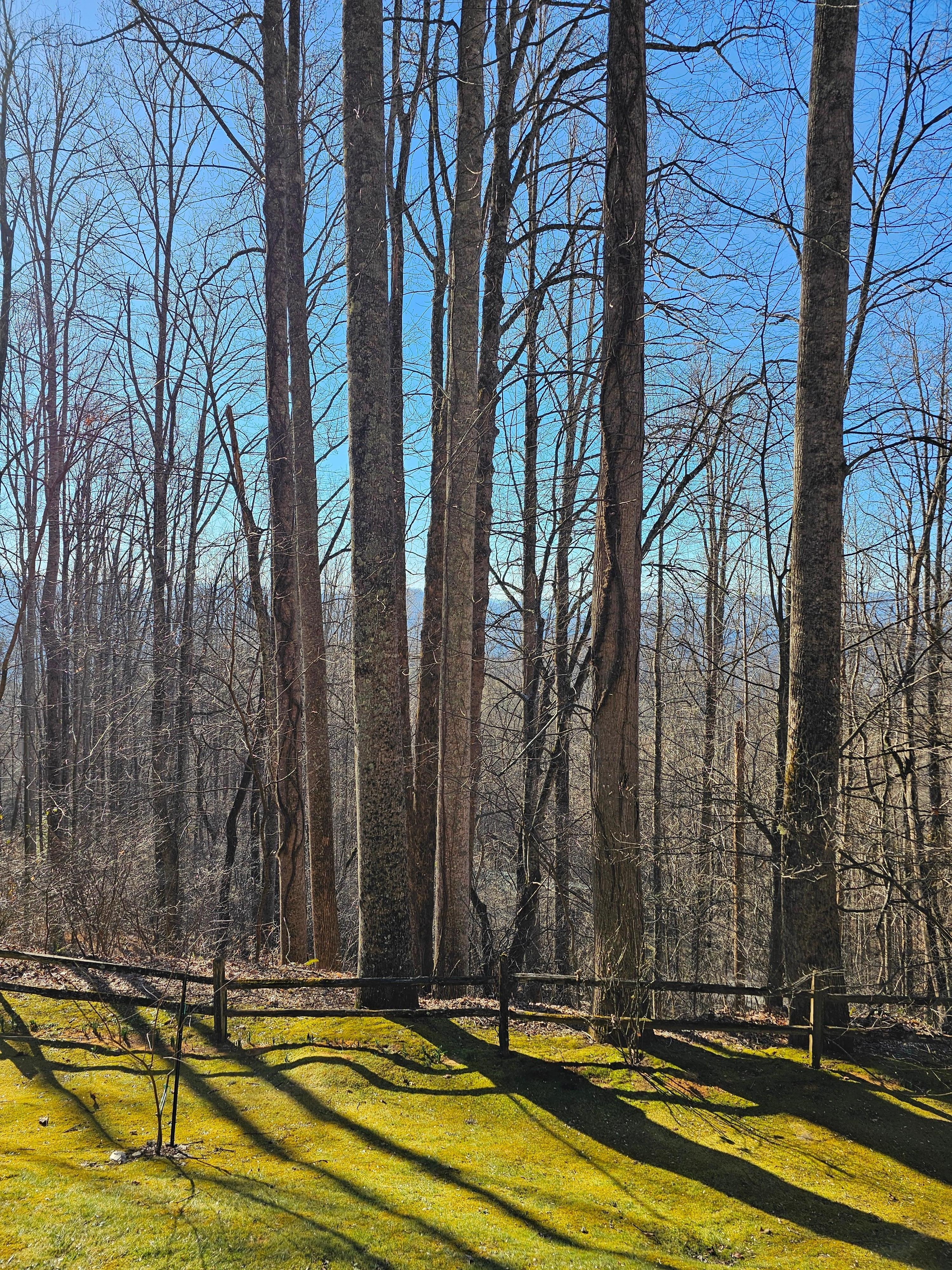 View from the front porch