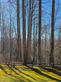View from the front porch
