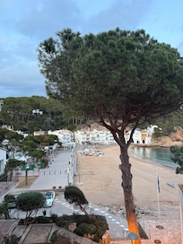 View from the bedroom