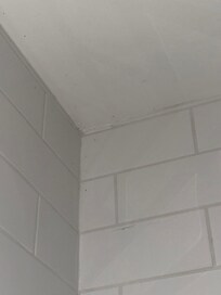 Cobweb in top corner of shower.