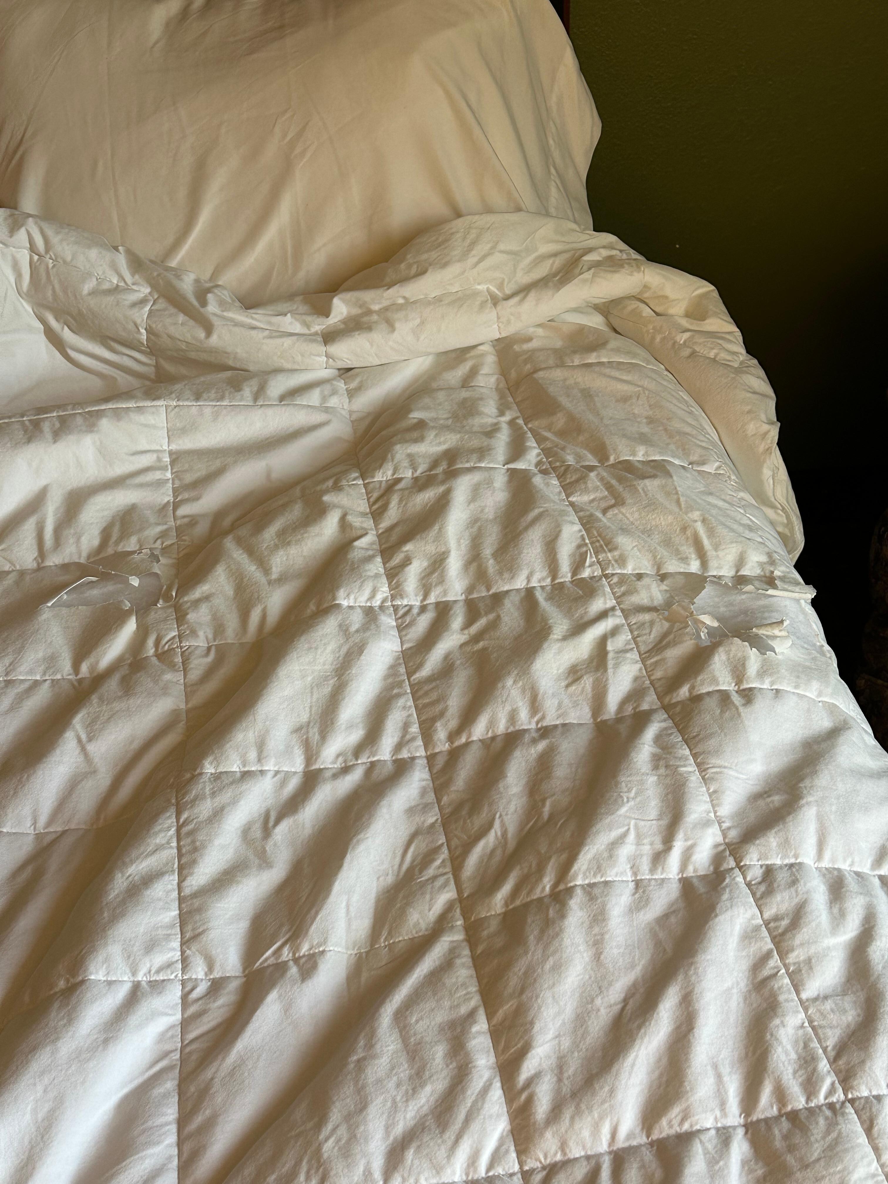 Holes in comforter 