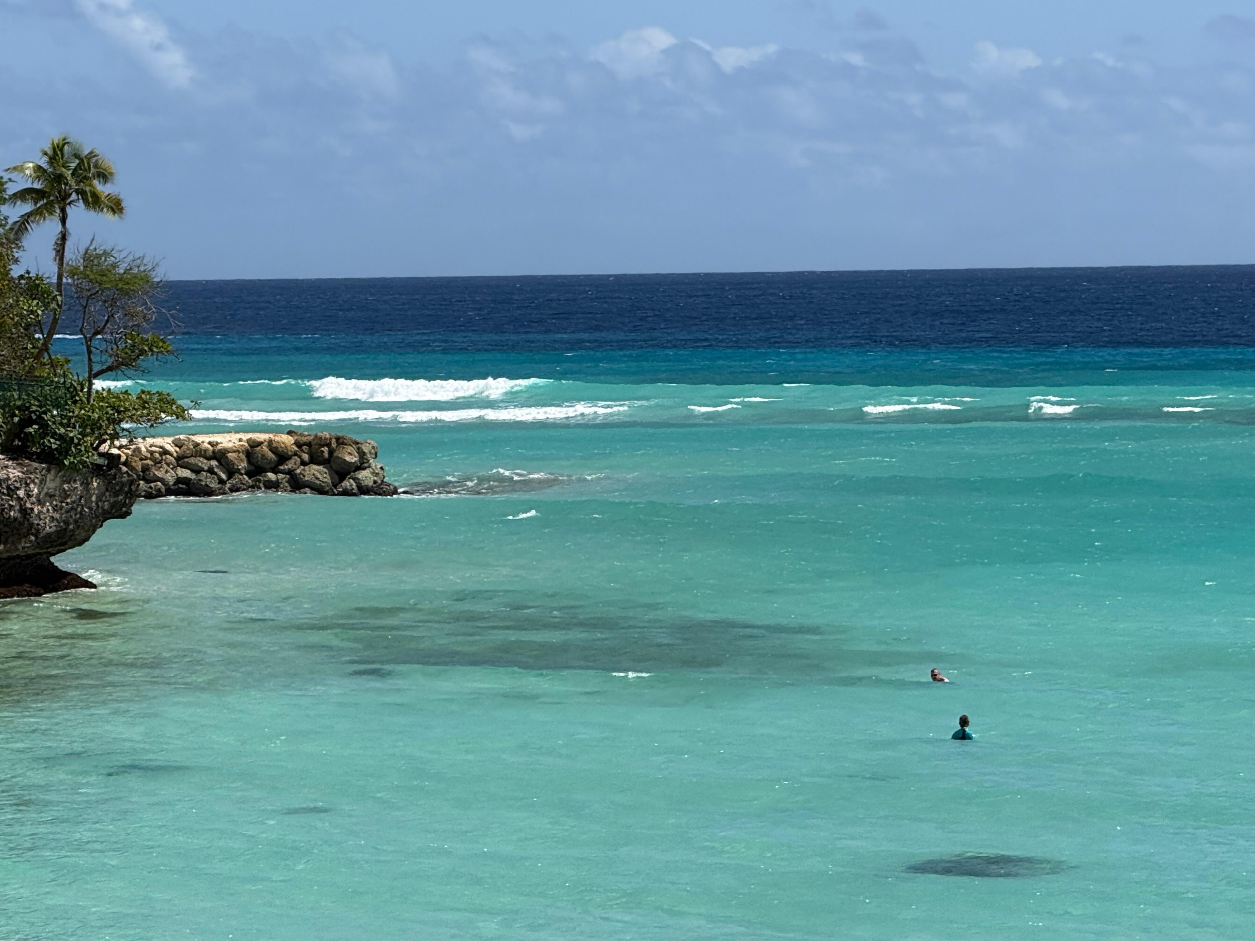 Sandy bottom swimming or wading with many sea turtle sightings 