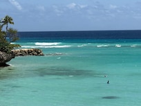 Sandy bottom swimming or wading with many sea turtle sightings