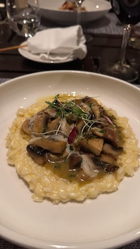 Risoto de funghi restaurante senso