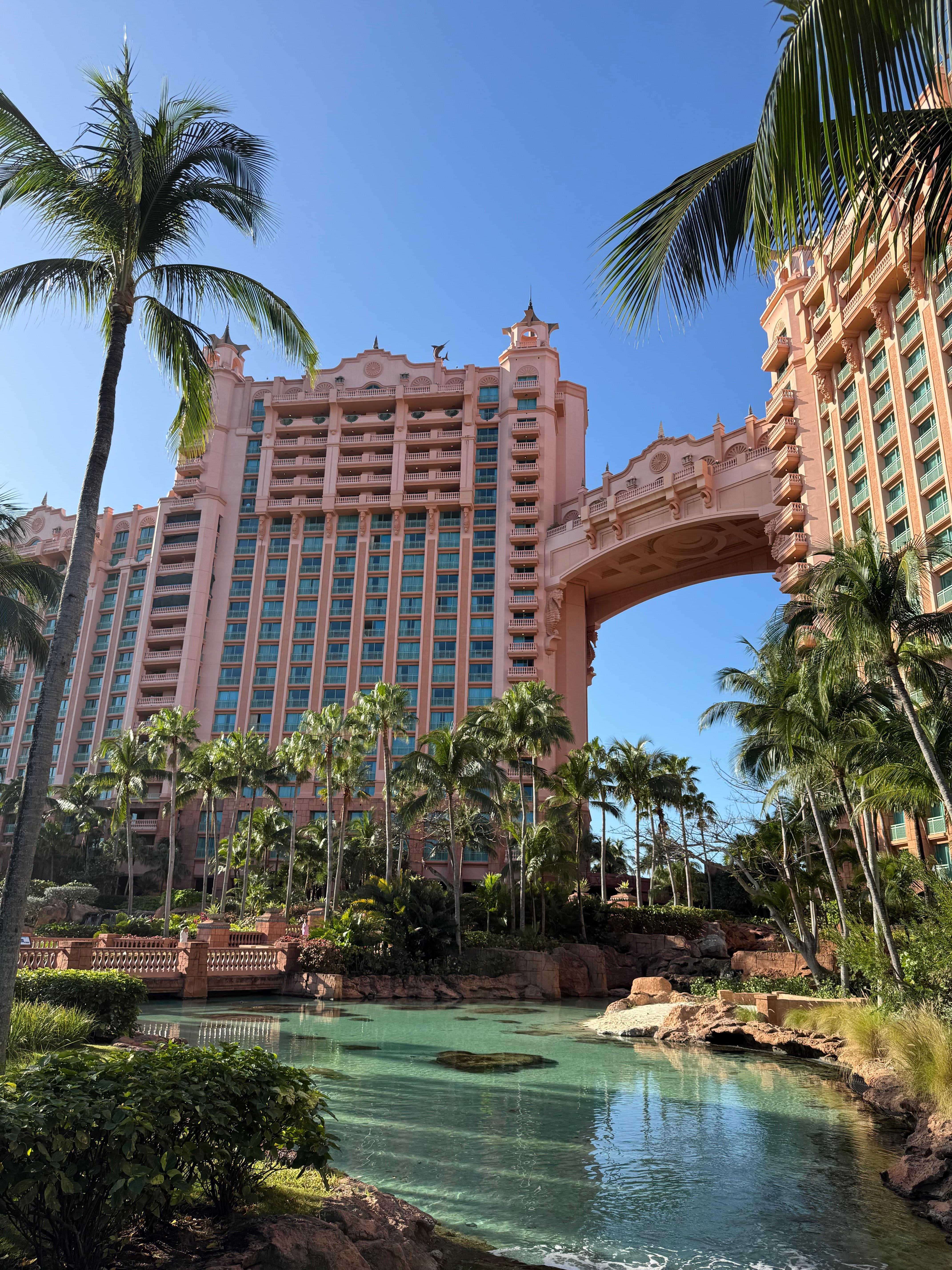 Gorgeous property and landscaping 