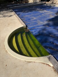 piscina verde