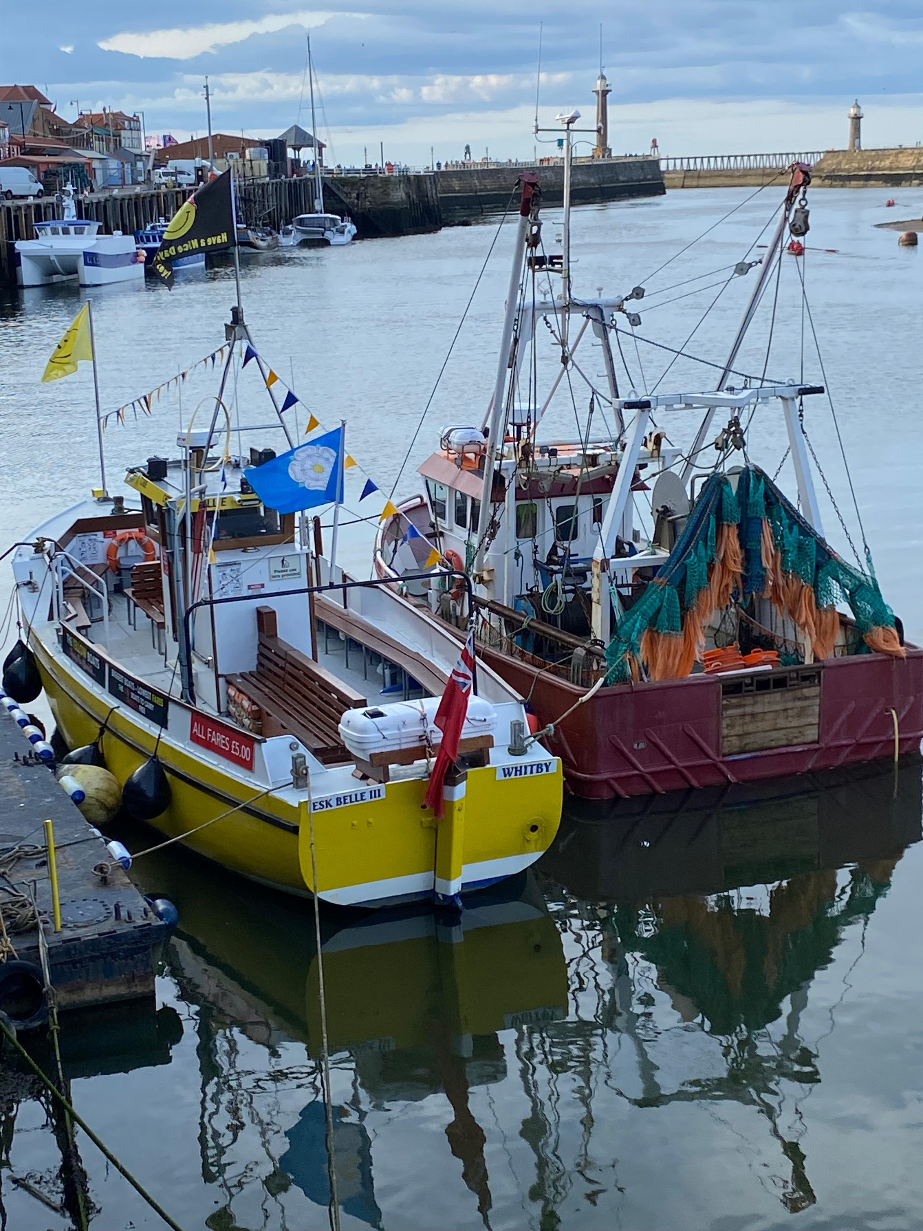 Boats , boats and more boats . 