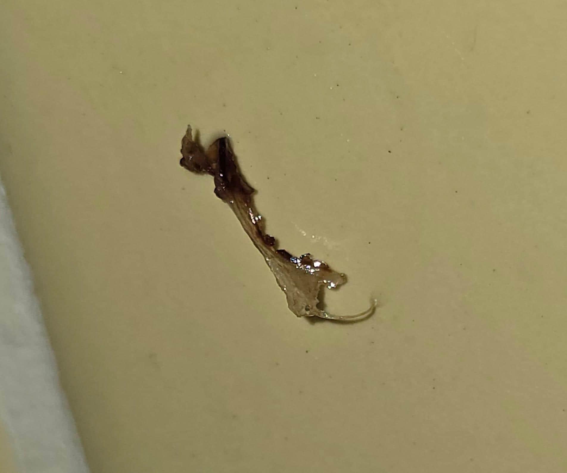 I do belive that this is a booger.....snot..... mucus that carries many many many gems!!  This goes into a kleenex,toilet paper or hell a napkin or even a paper towel!!  I could keep going but I'm assuming it would be a waste of time.... DISGUSTING 