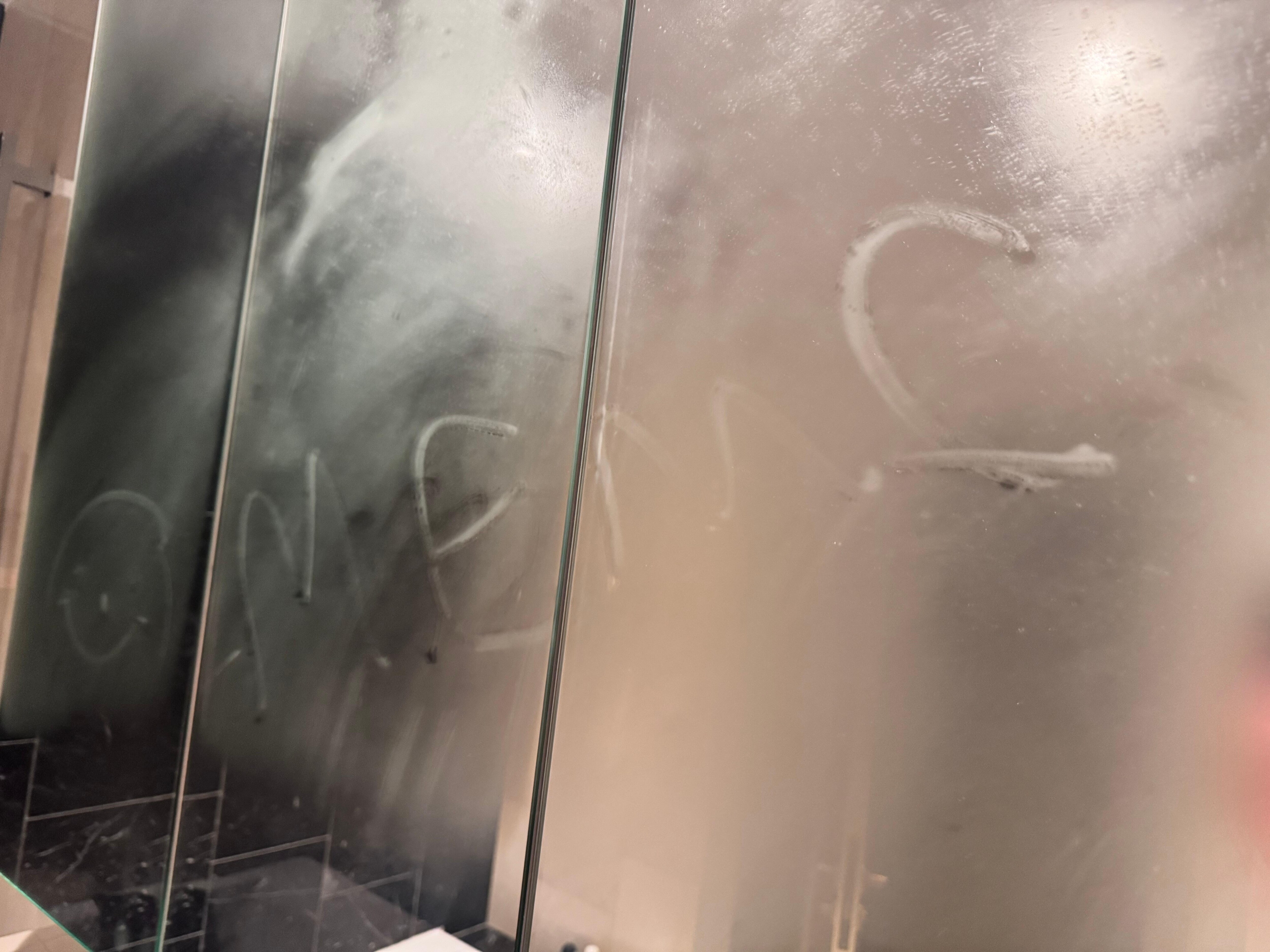 Mirror not cleaned (writing on mirror from previous guest. Housecleaning is not wiping down mirrors)
