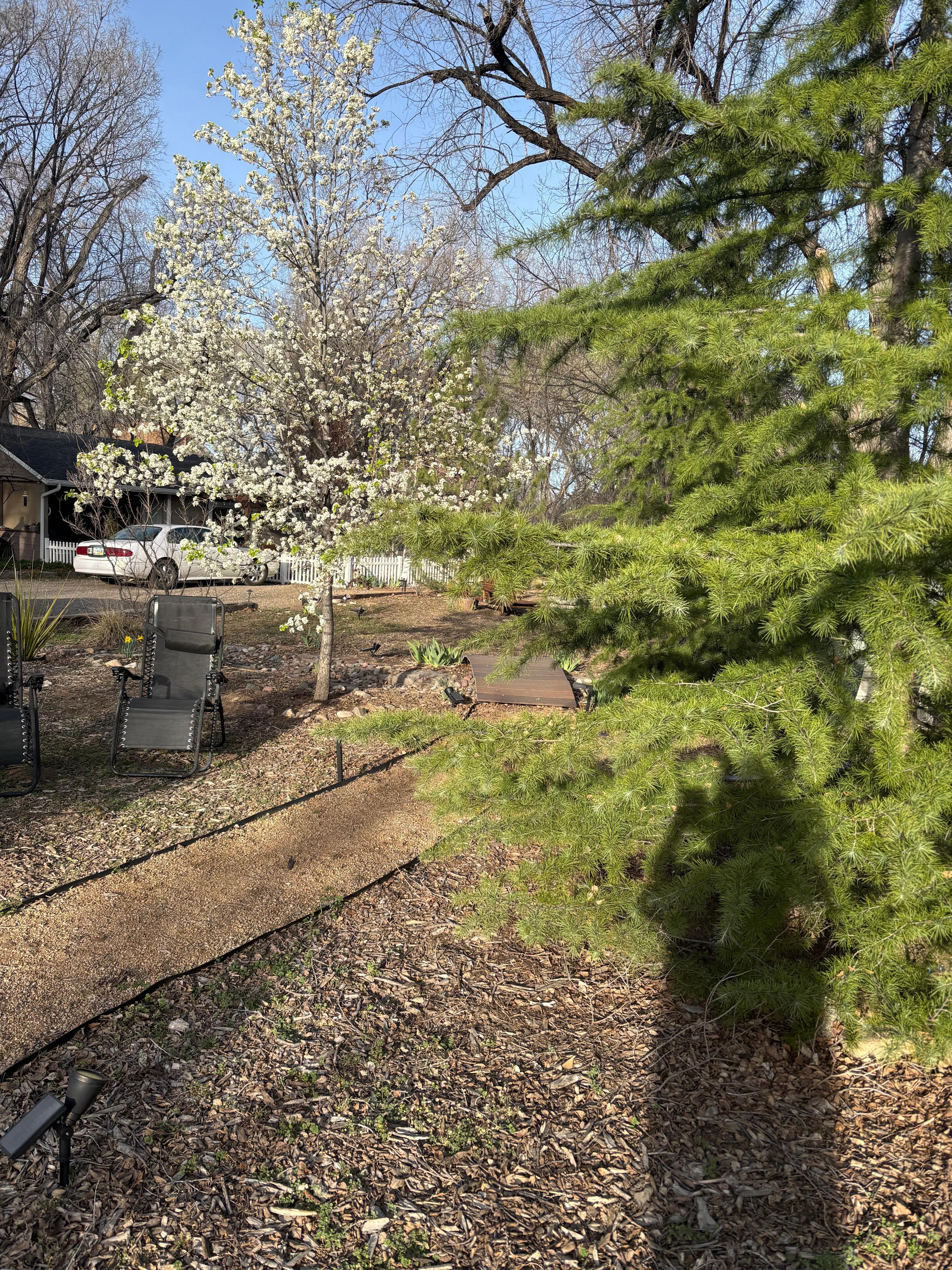 Green space in the property. 