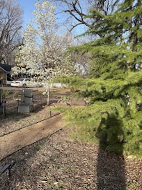 Green space in the property.