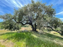 Beautiful picnic spot on property