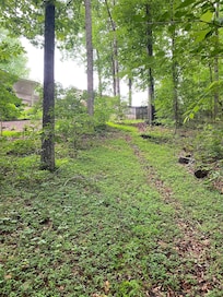 Upper pathway from house