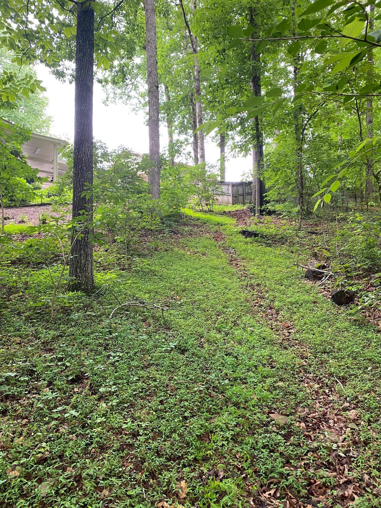 Upper pathway from house