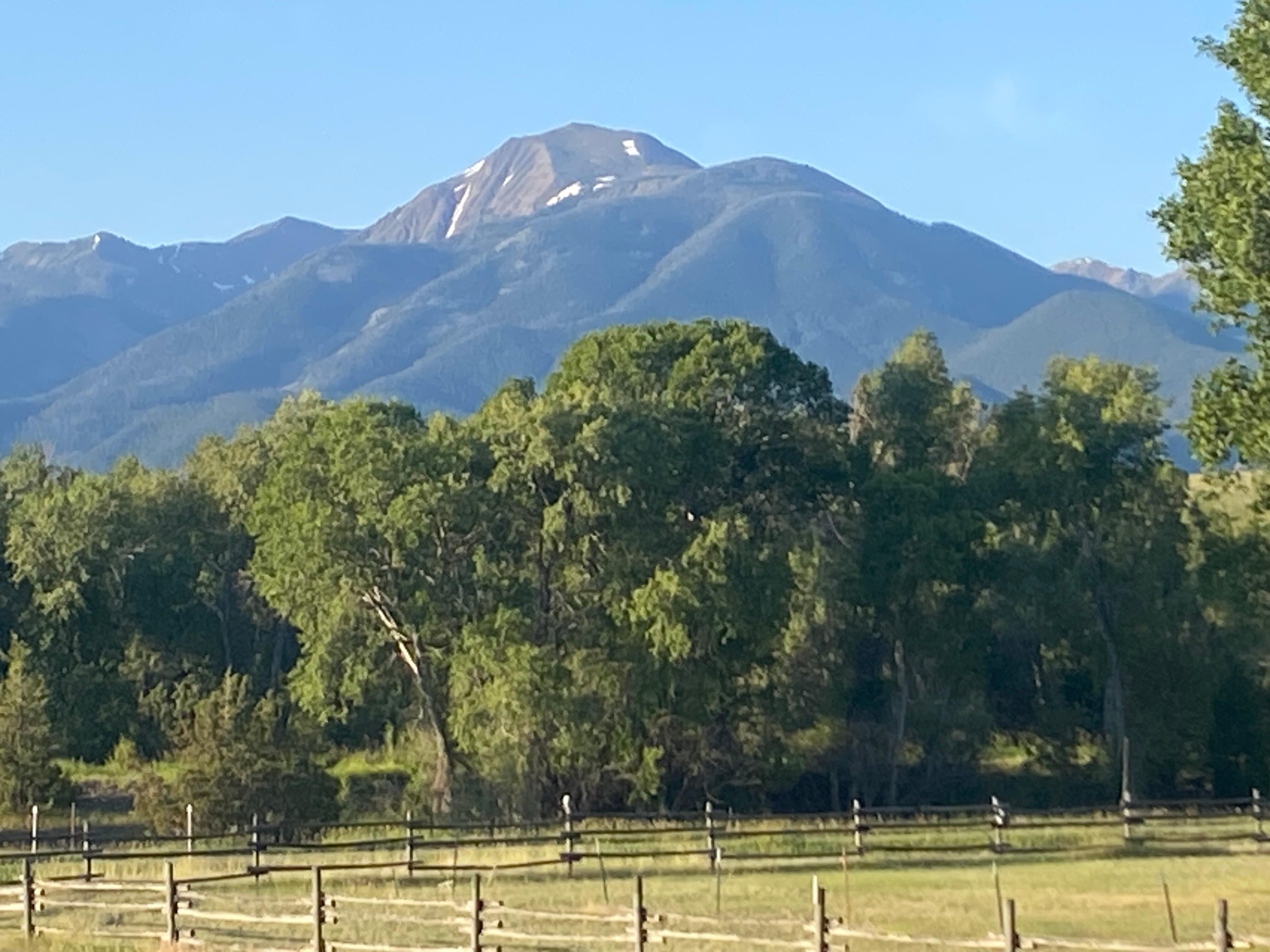 View from the deck 