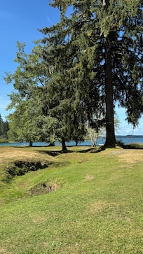 Grounds