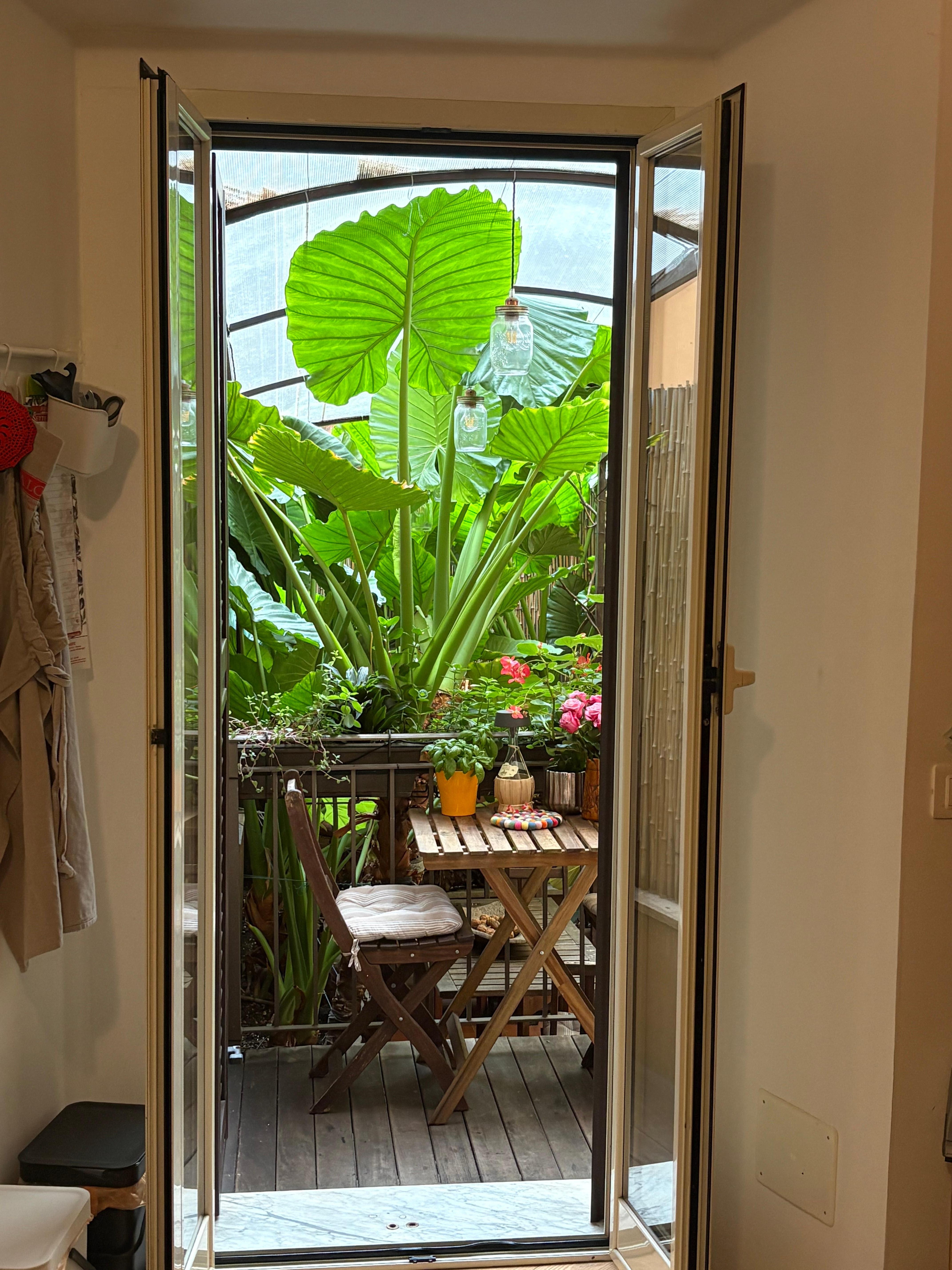 Blick aus der Küche in den Garten im Innenhof