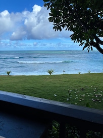 View from patio