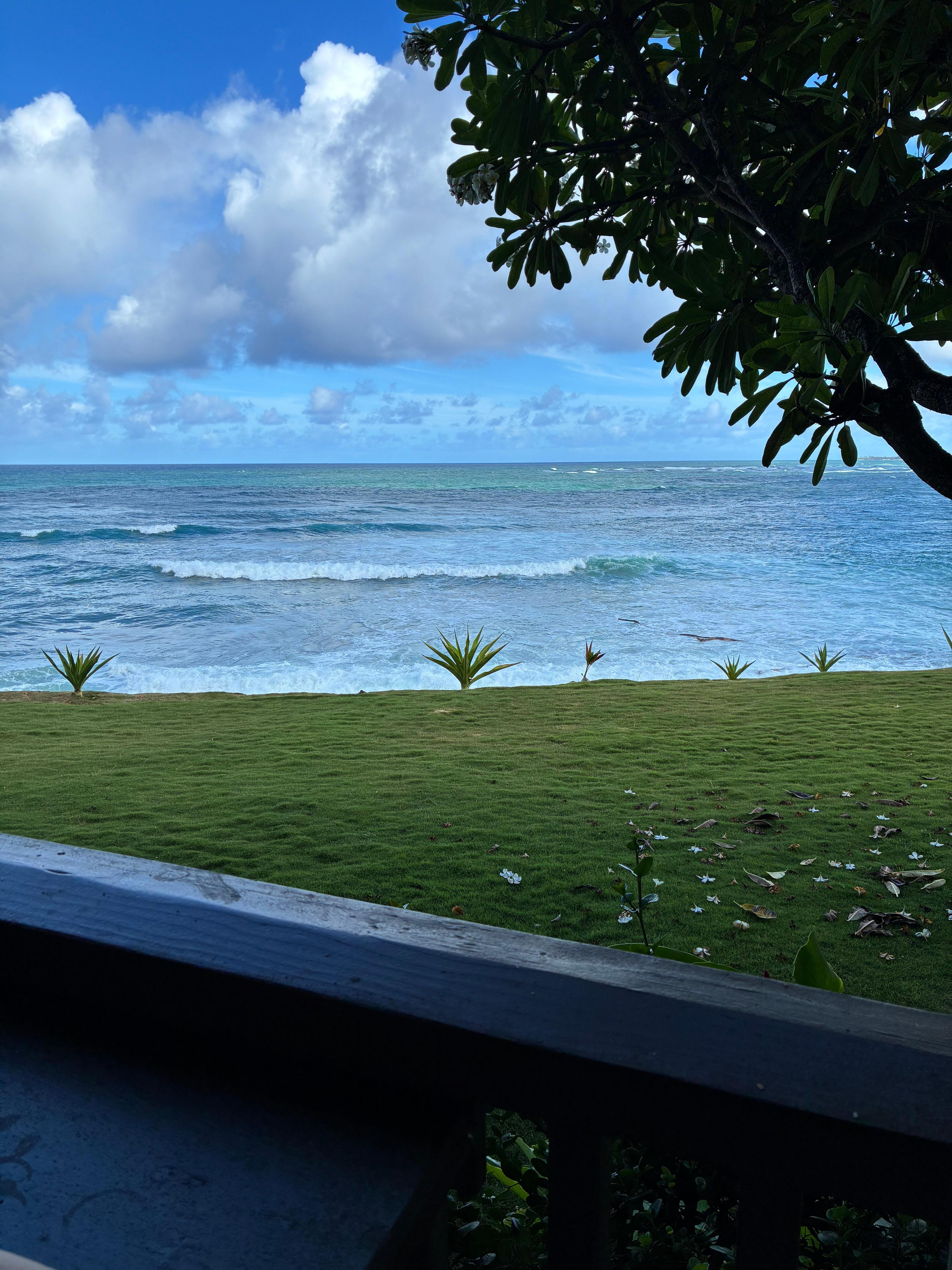 View from patio