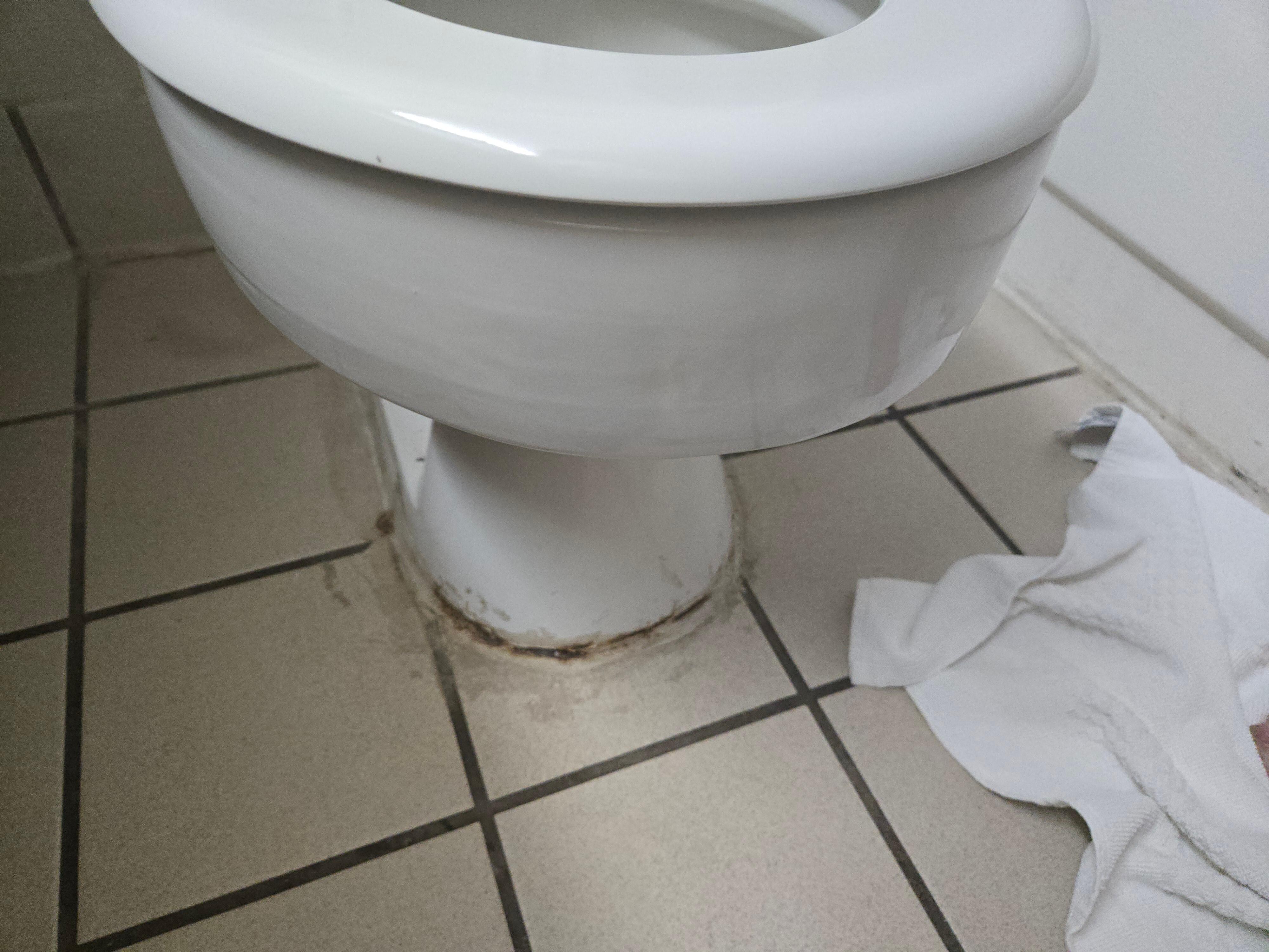 Toilet near the floor wasn't finished so it looked horrible 