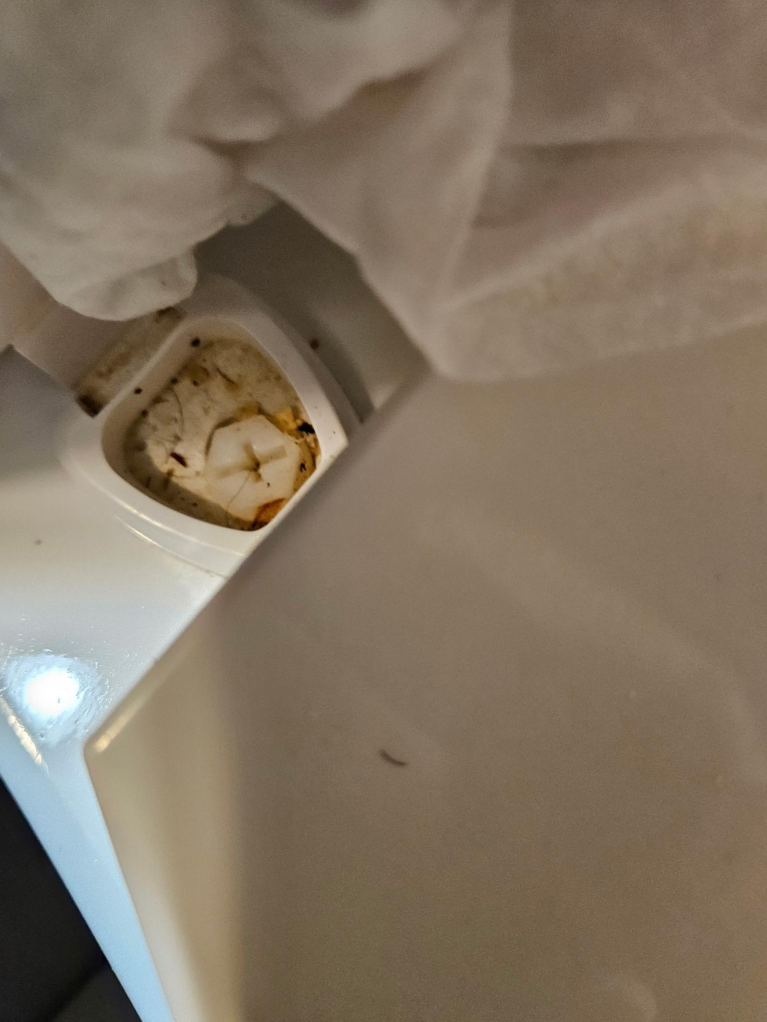 Back of the toilet