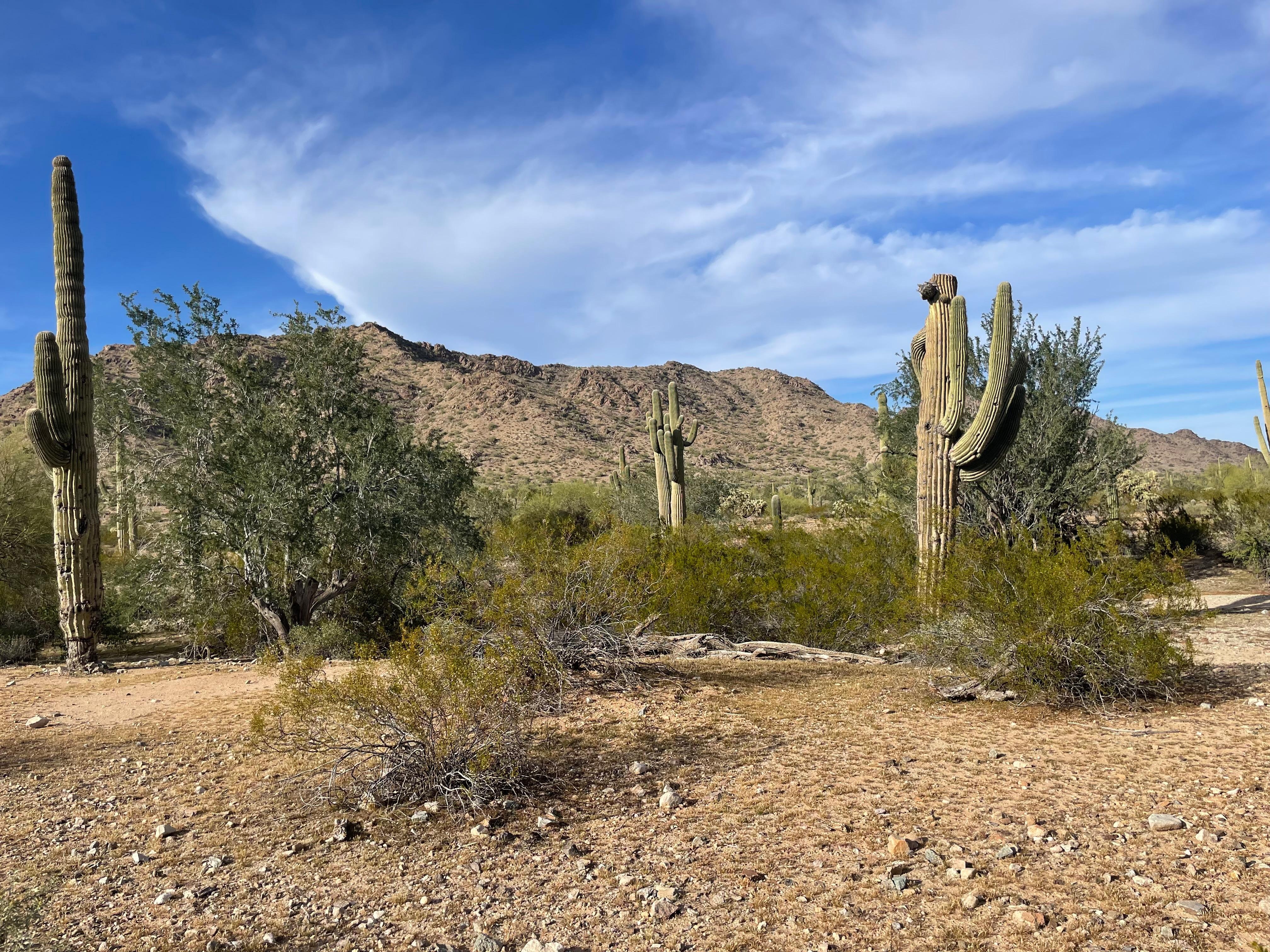 San Tan Mtn Park