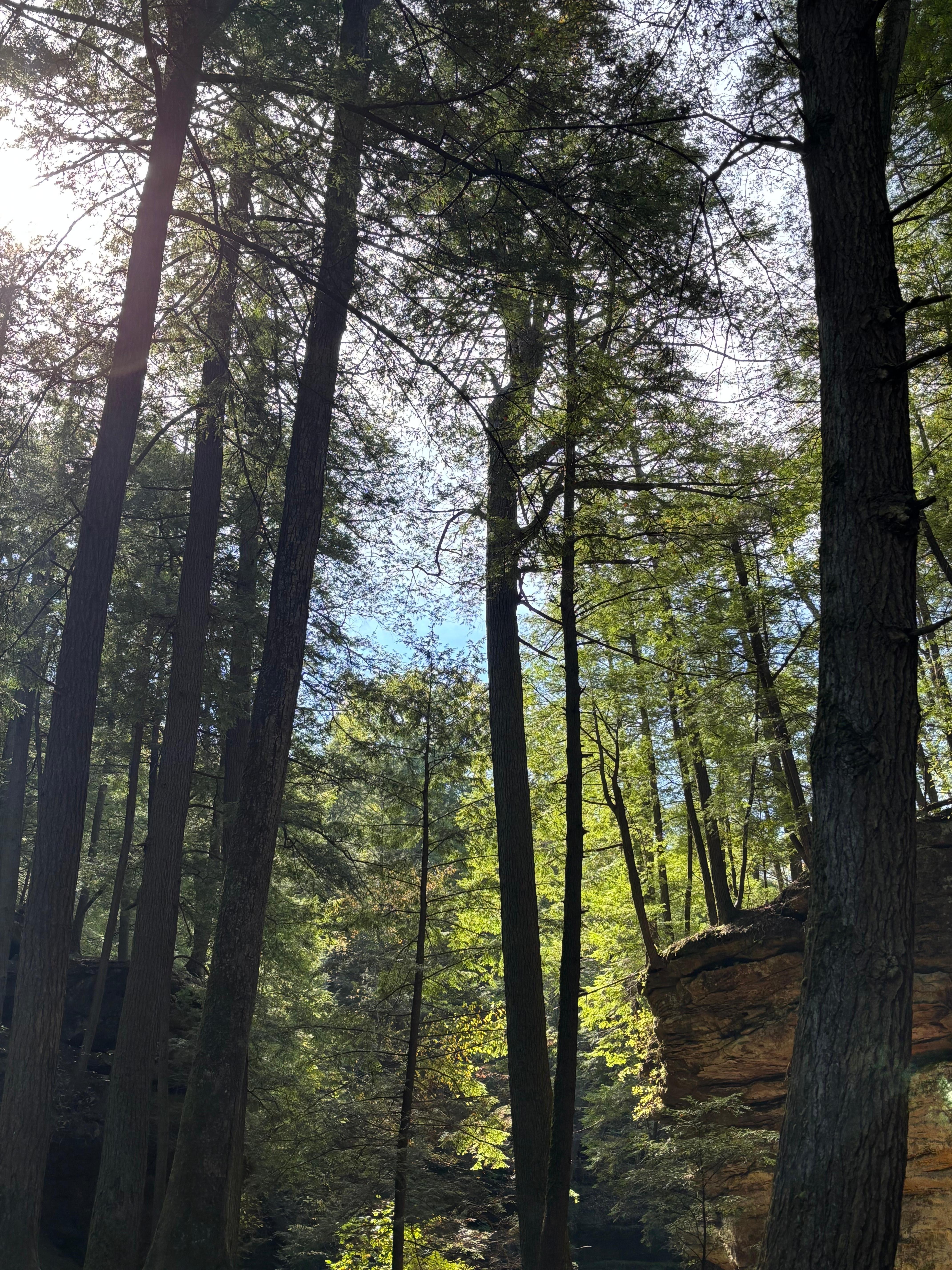 Hiking Old Man’s Cave Trail