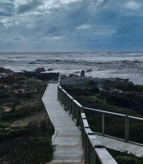 Edge of the world boardwalk on Arthur River