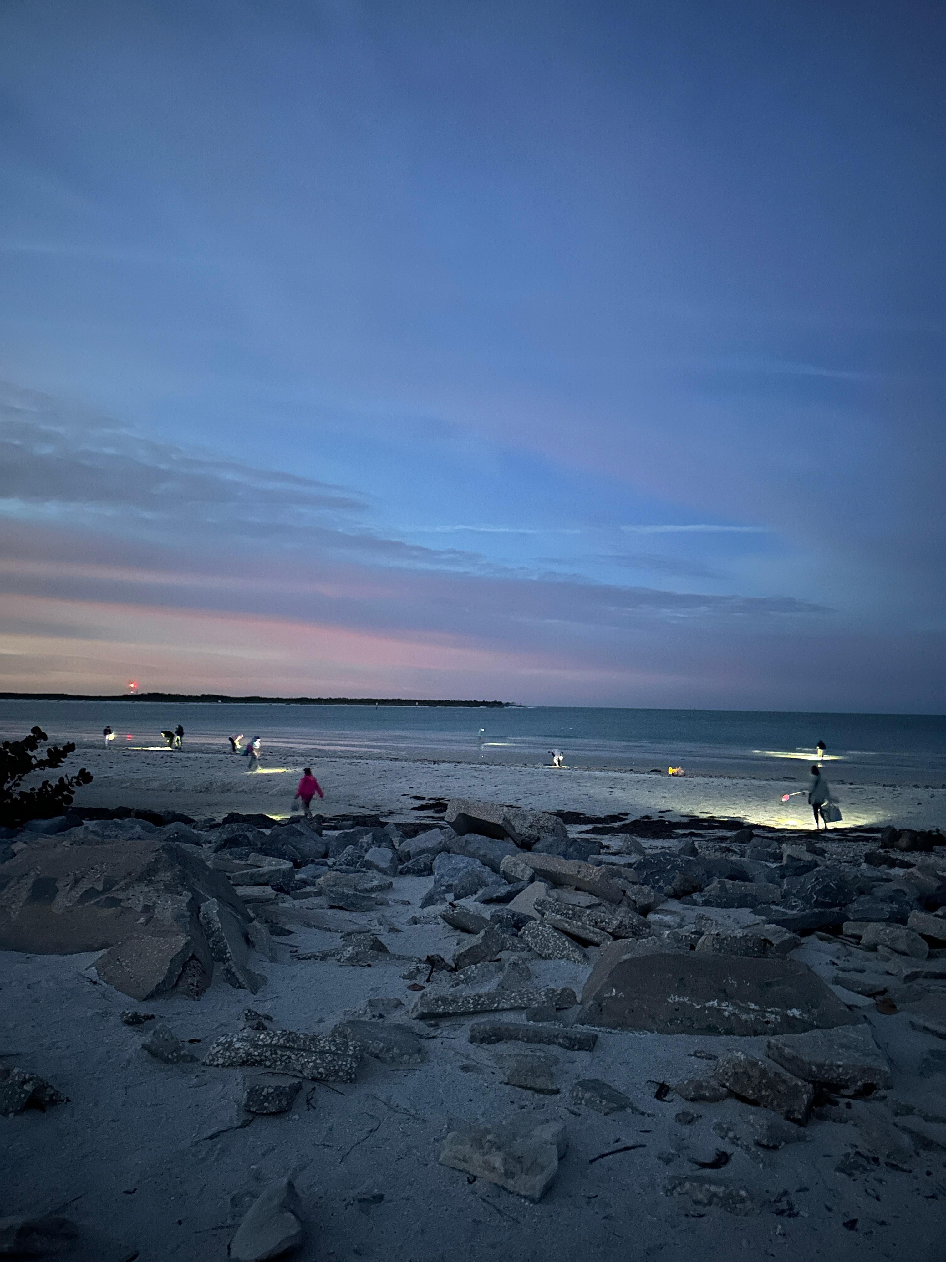 Pre-dawn shell seekers are seriously competitive! 