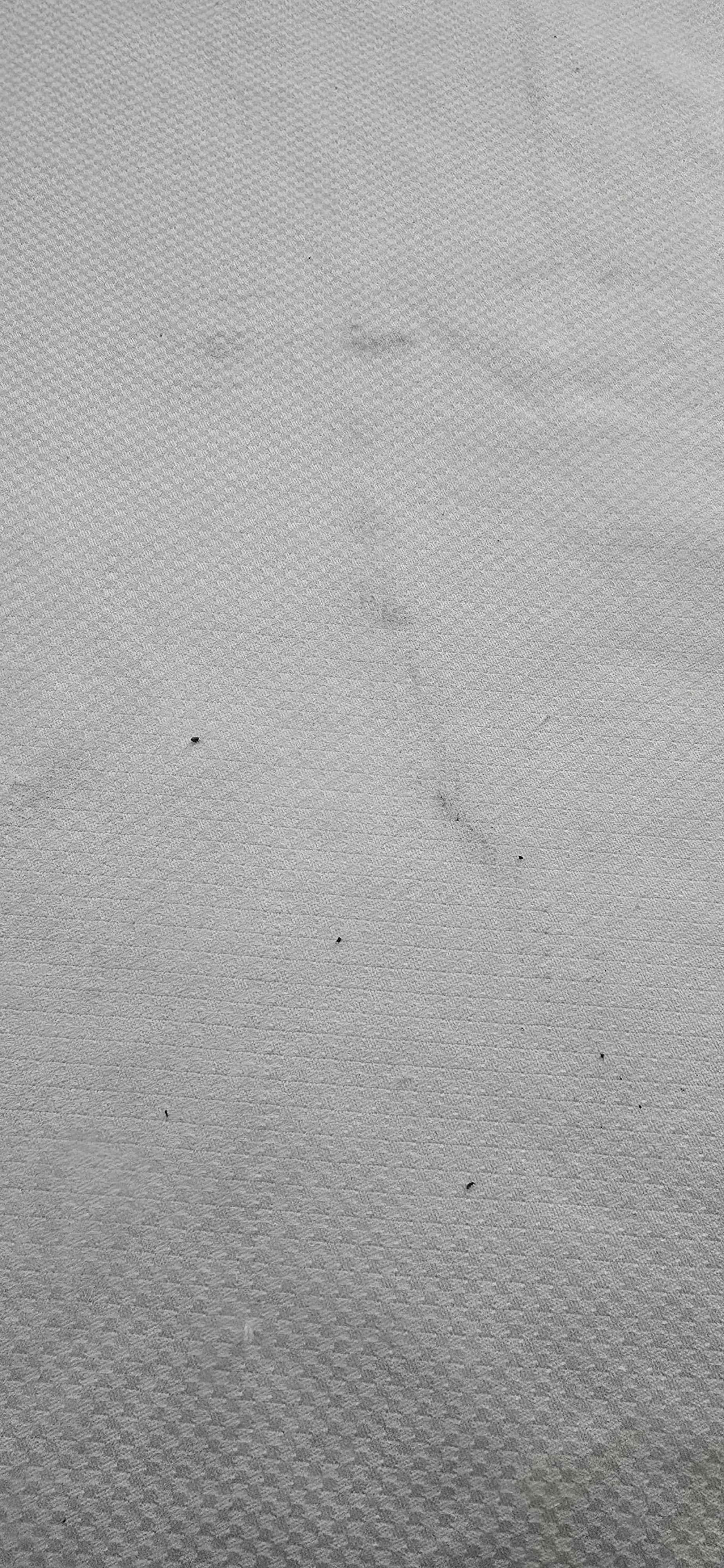 Dirty bed upon check in