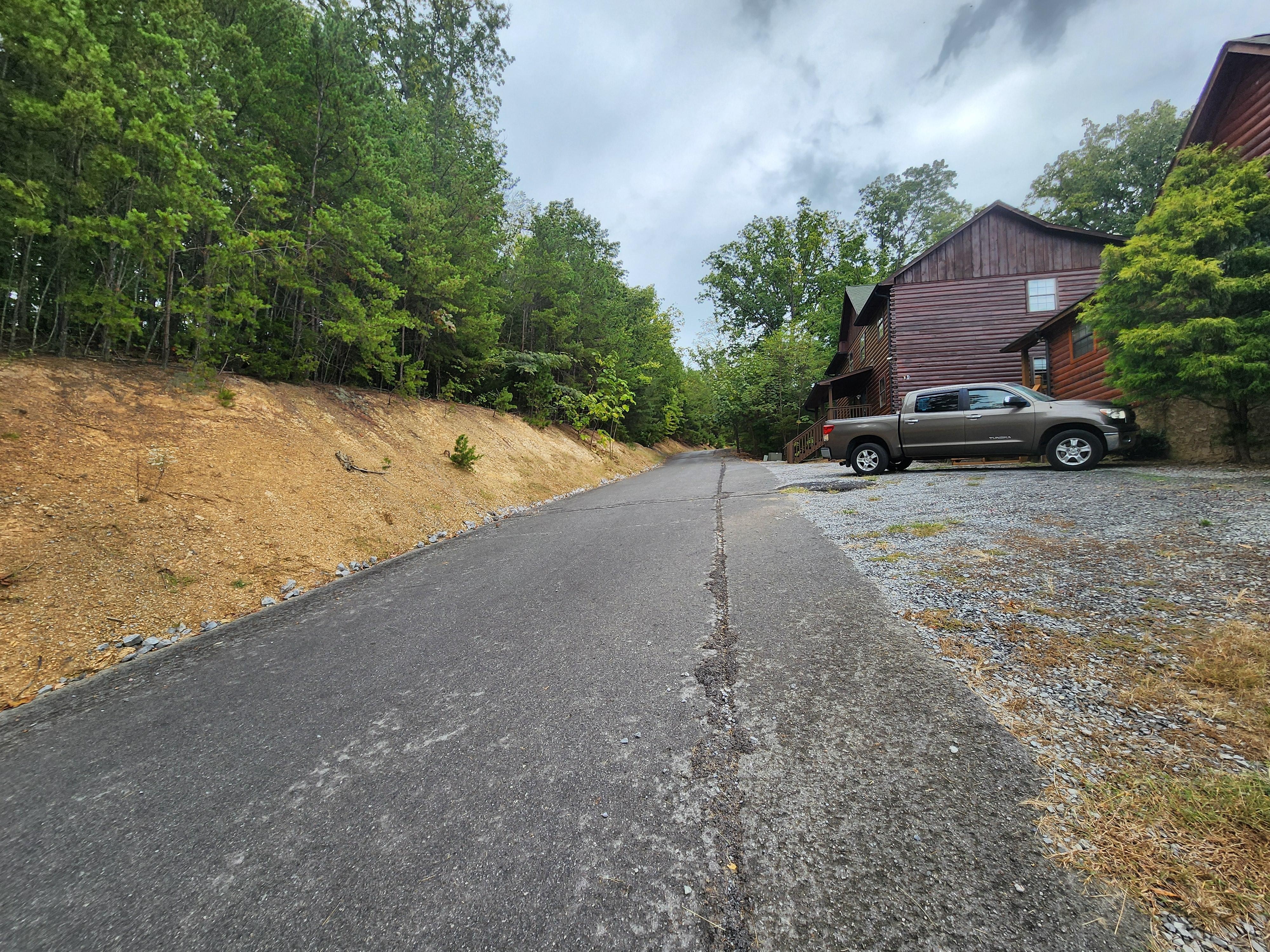 Away from cabin going down to walk dog to big yard.